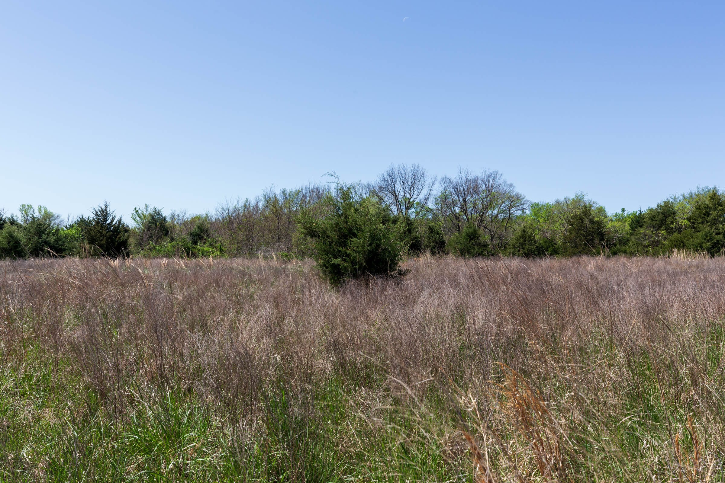 Prairie Grove Tract 19 photo 3