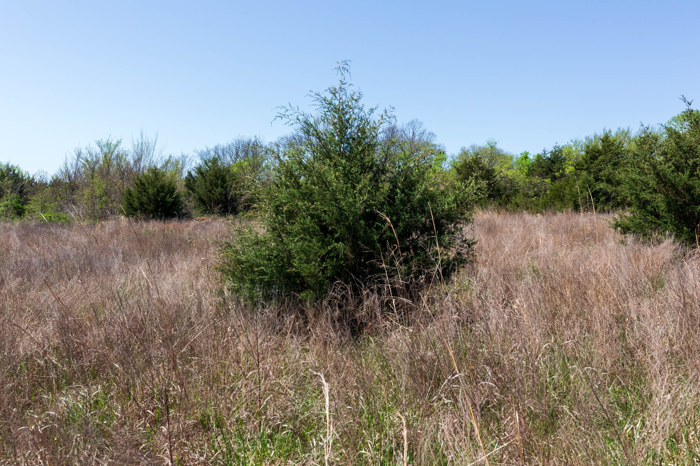 Prairie Grove Tract 19 photo 6