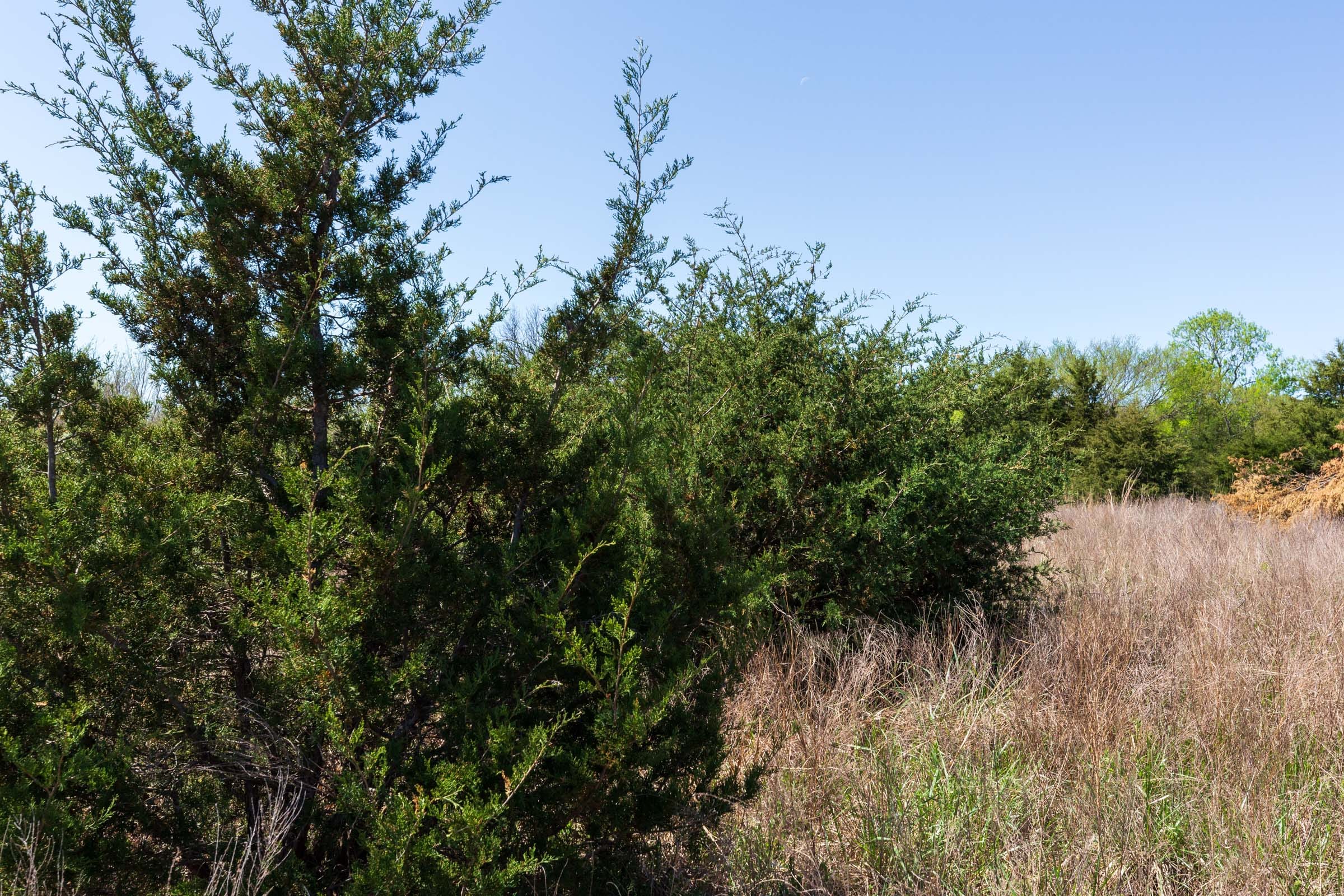 Prairie Grove Tract 19 photo 9