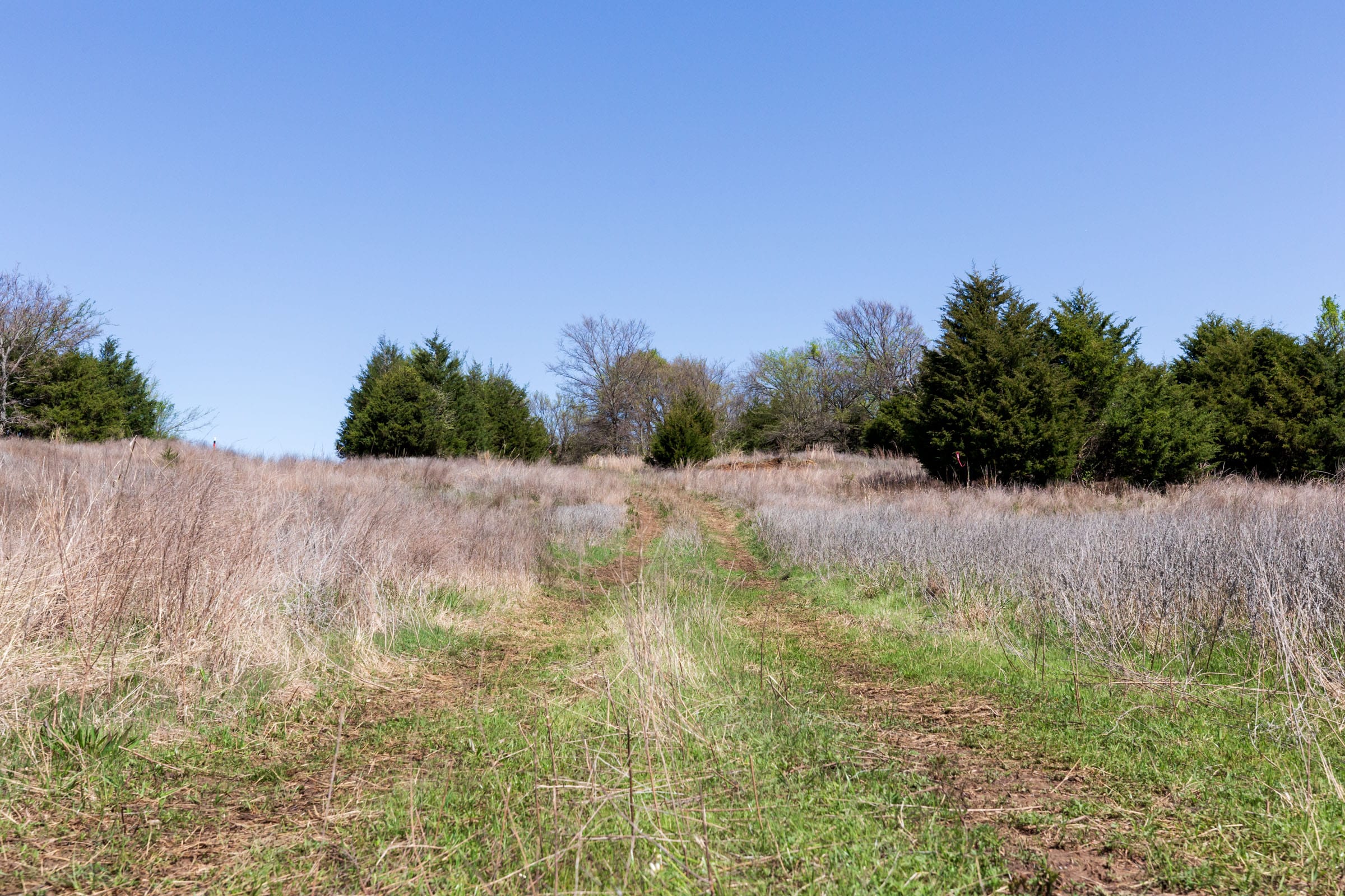 Prairie Grove Tract 19 photo 1