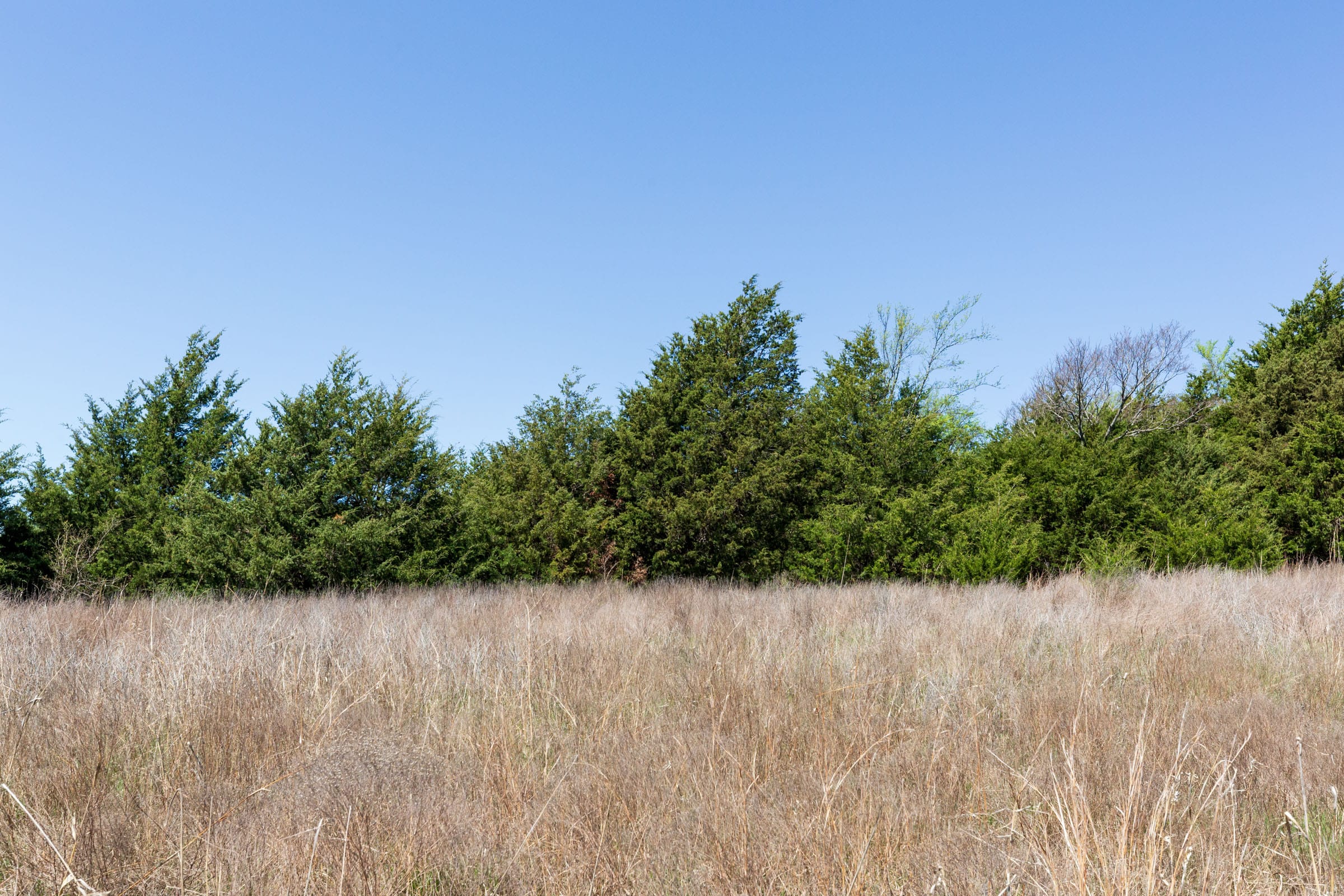 Prairie Grove Tract 19 photo 11