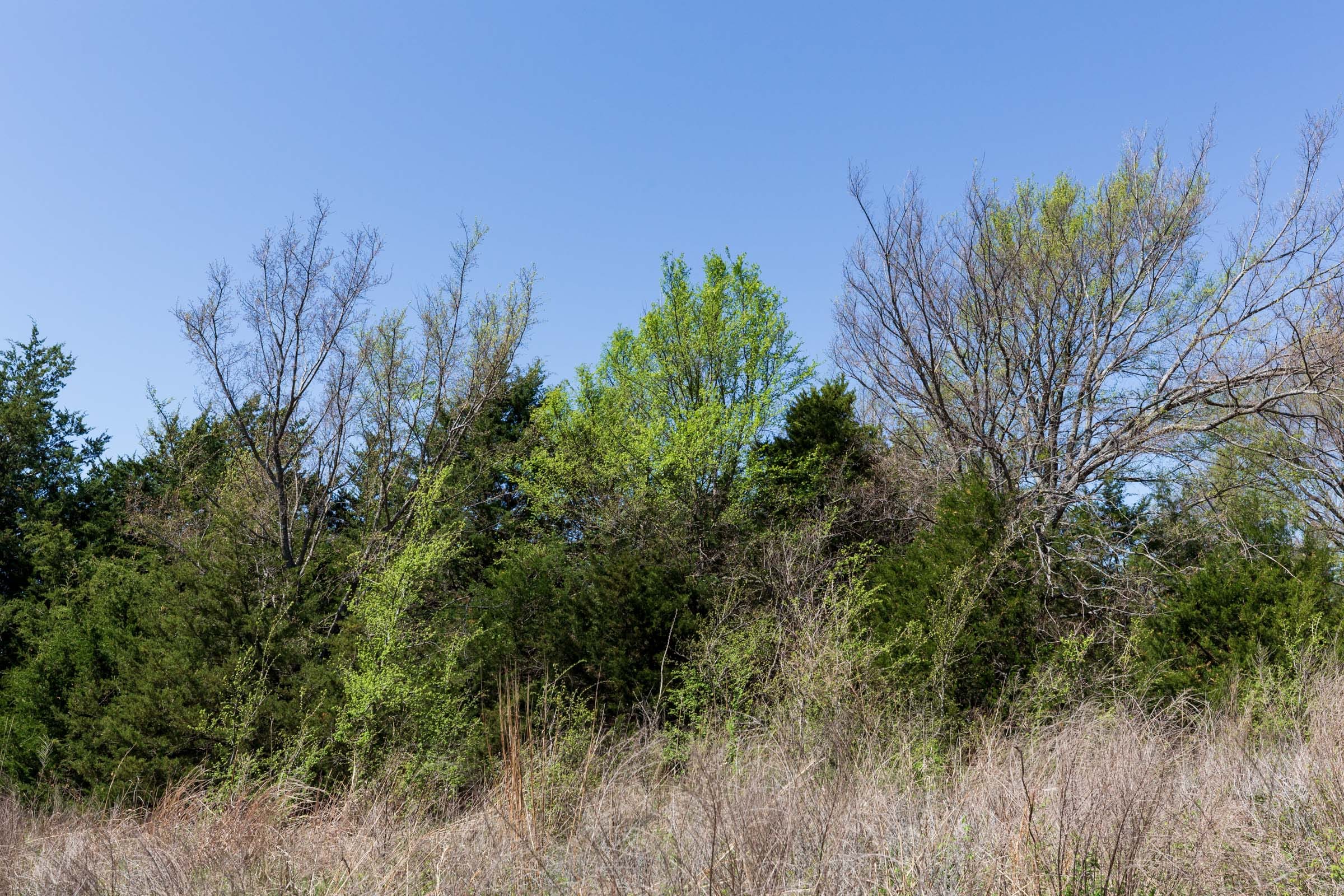 Prairie Grove Tract 19 photo 13