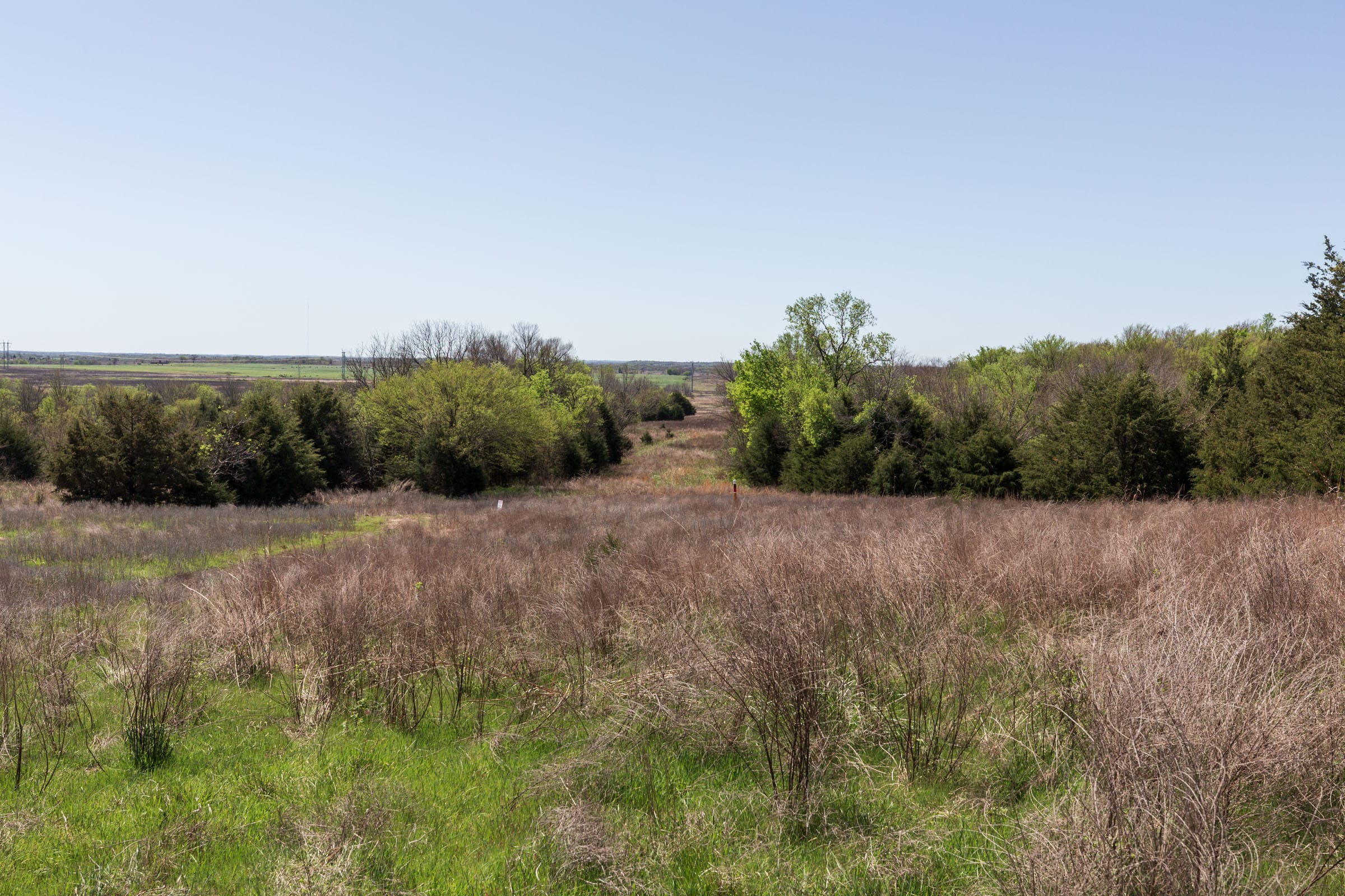 Prairie Grove Tract 19 photo 14