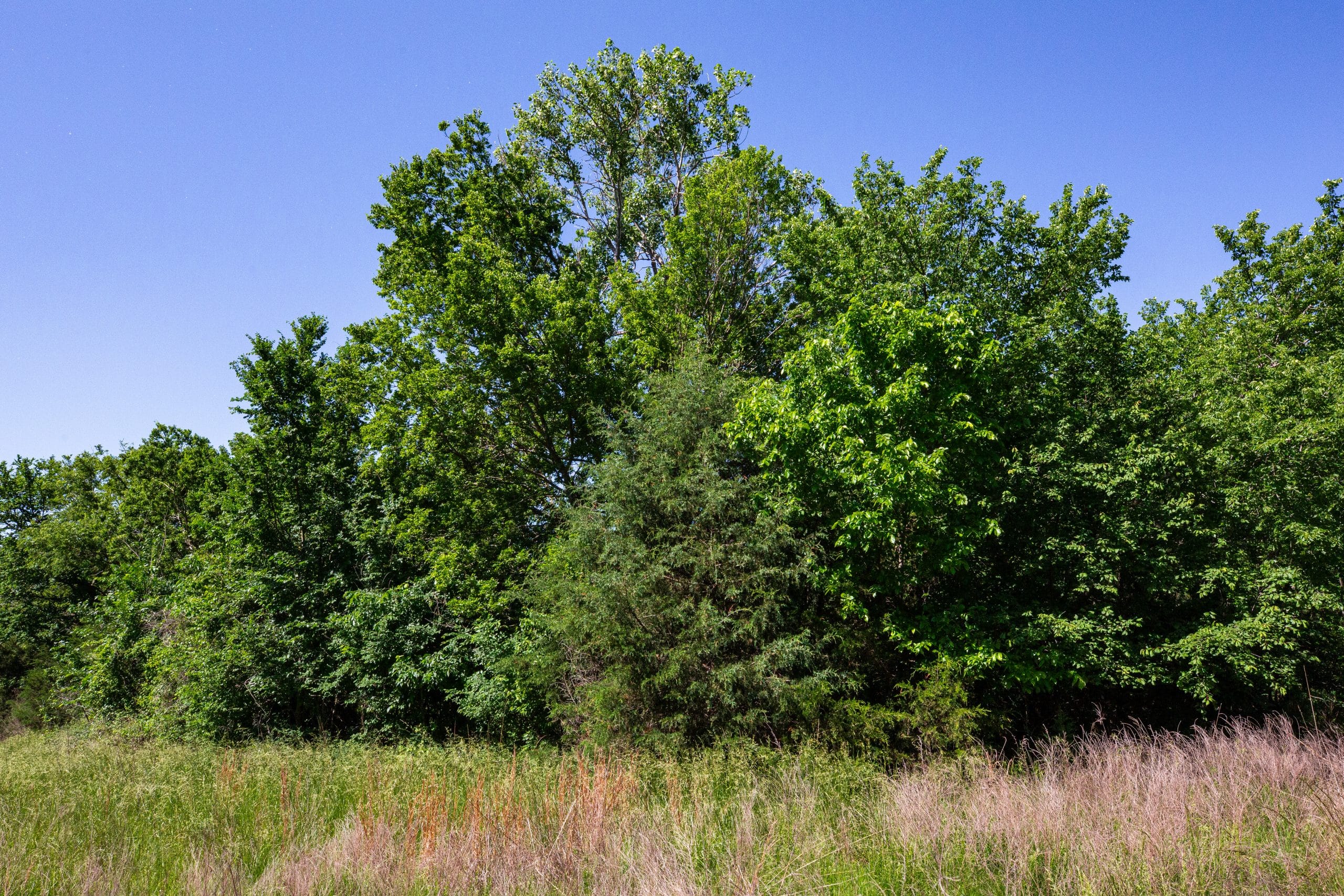 Prairie Grove Tract 19 photo 12