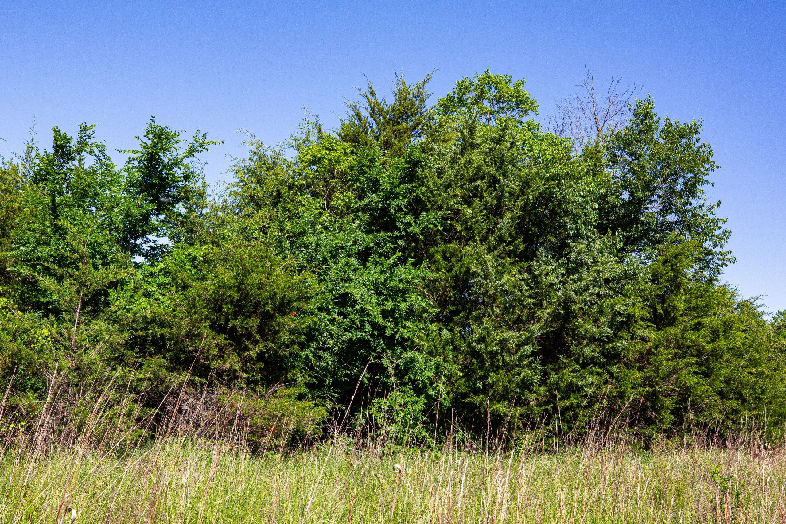 Prairie Grove Tract 19 photo 15
