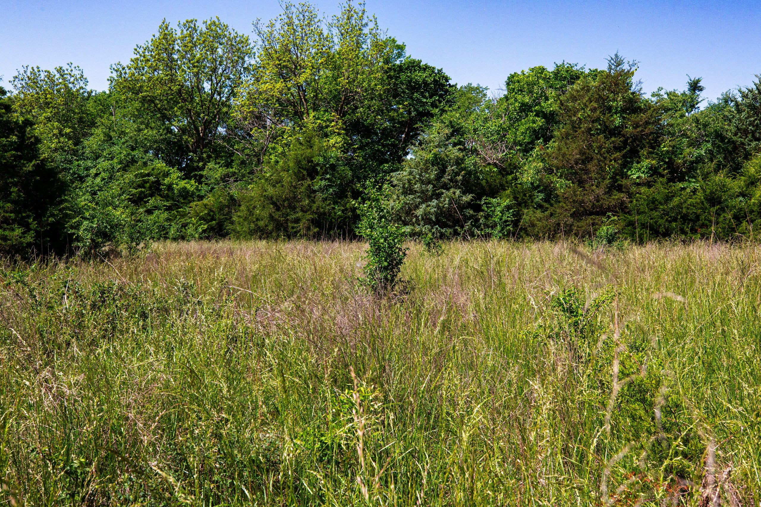 Prairie Grove Tract 19 photo 8