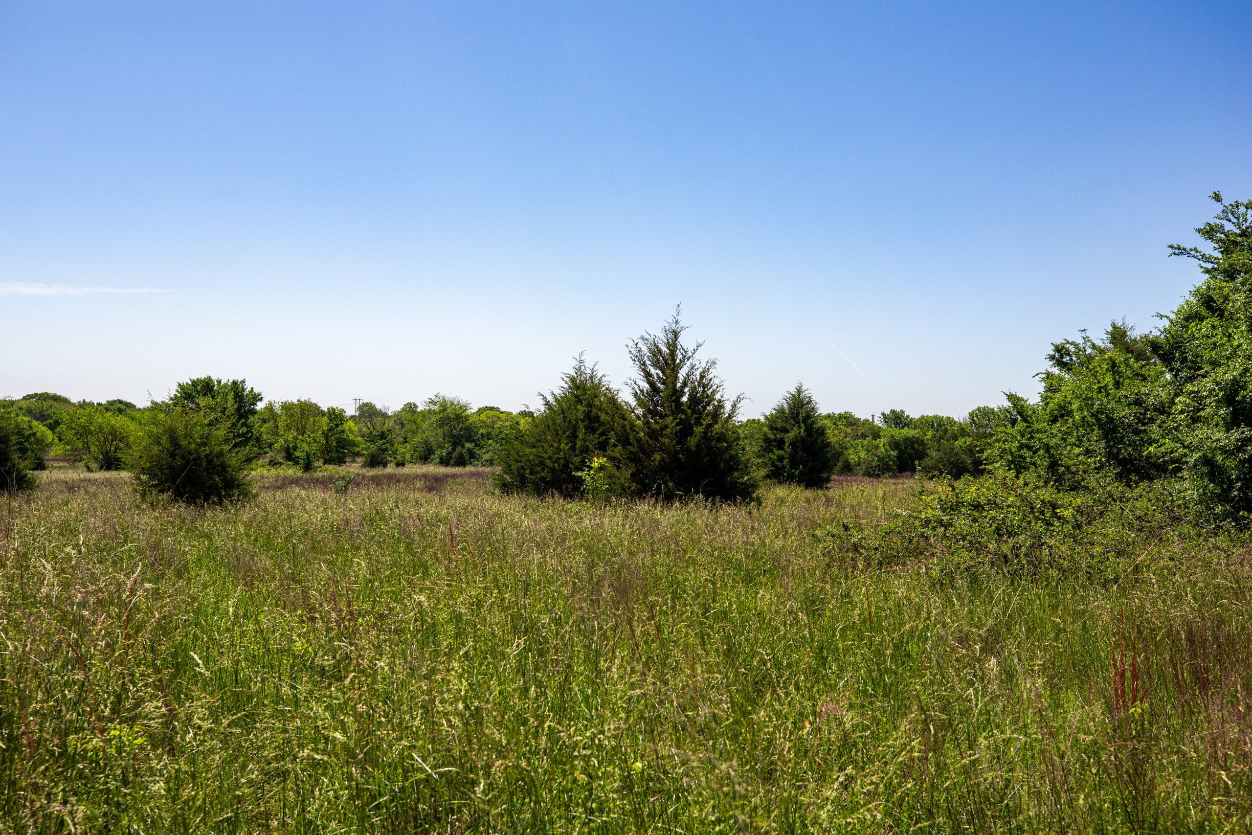 Prairie Grove Tract 19 photo 5