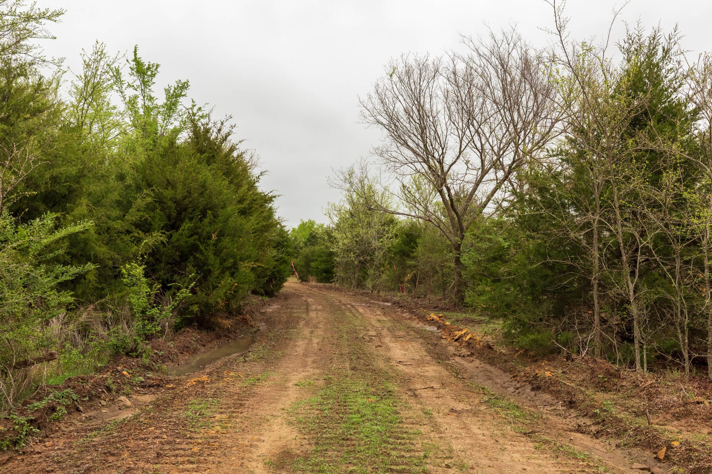Moonrise Meadows Tract 7 photo 6