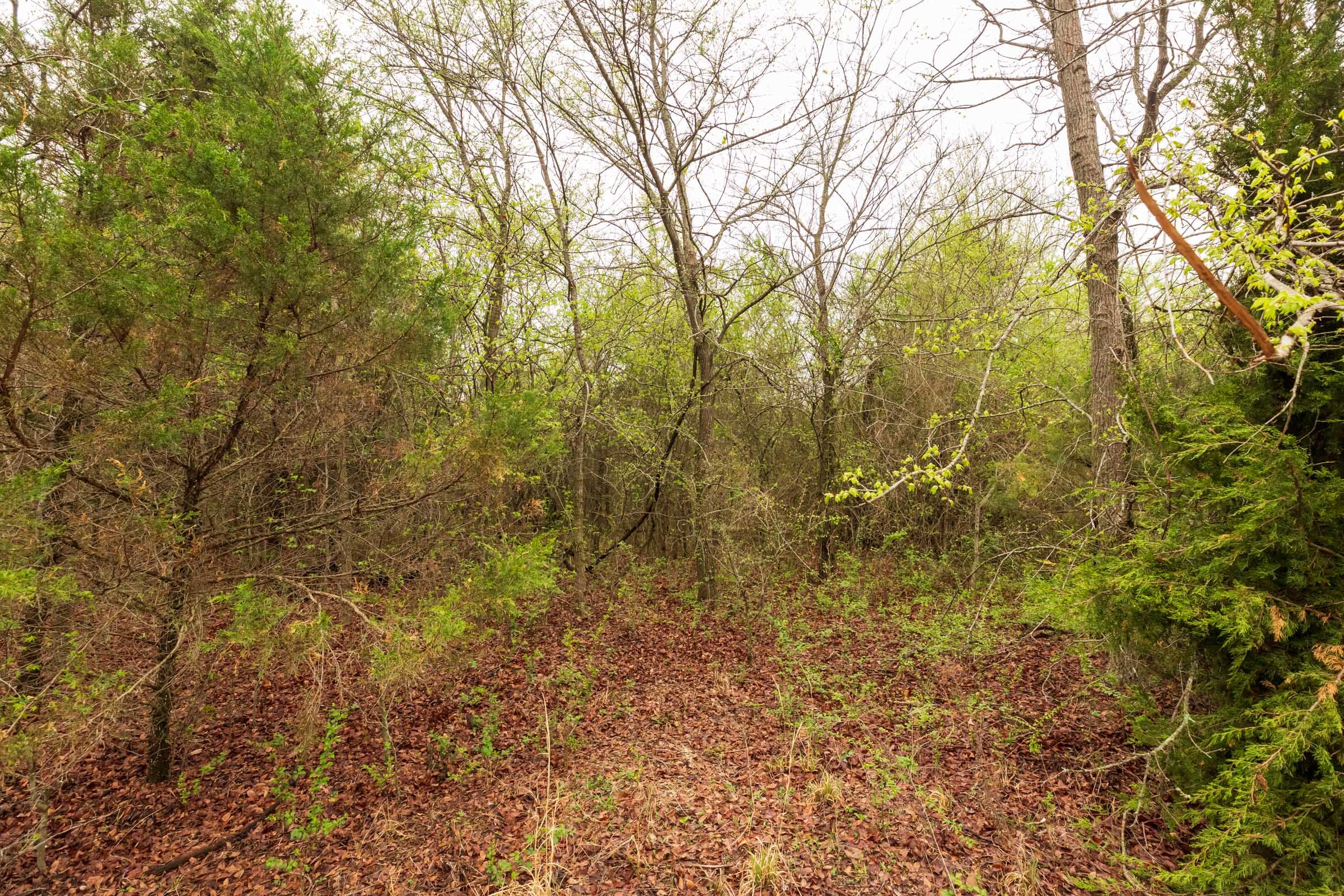 Moonrise Meadows Tract 7 photo 10