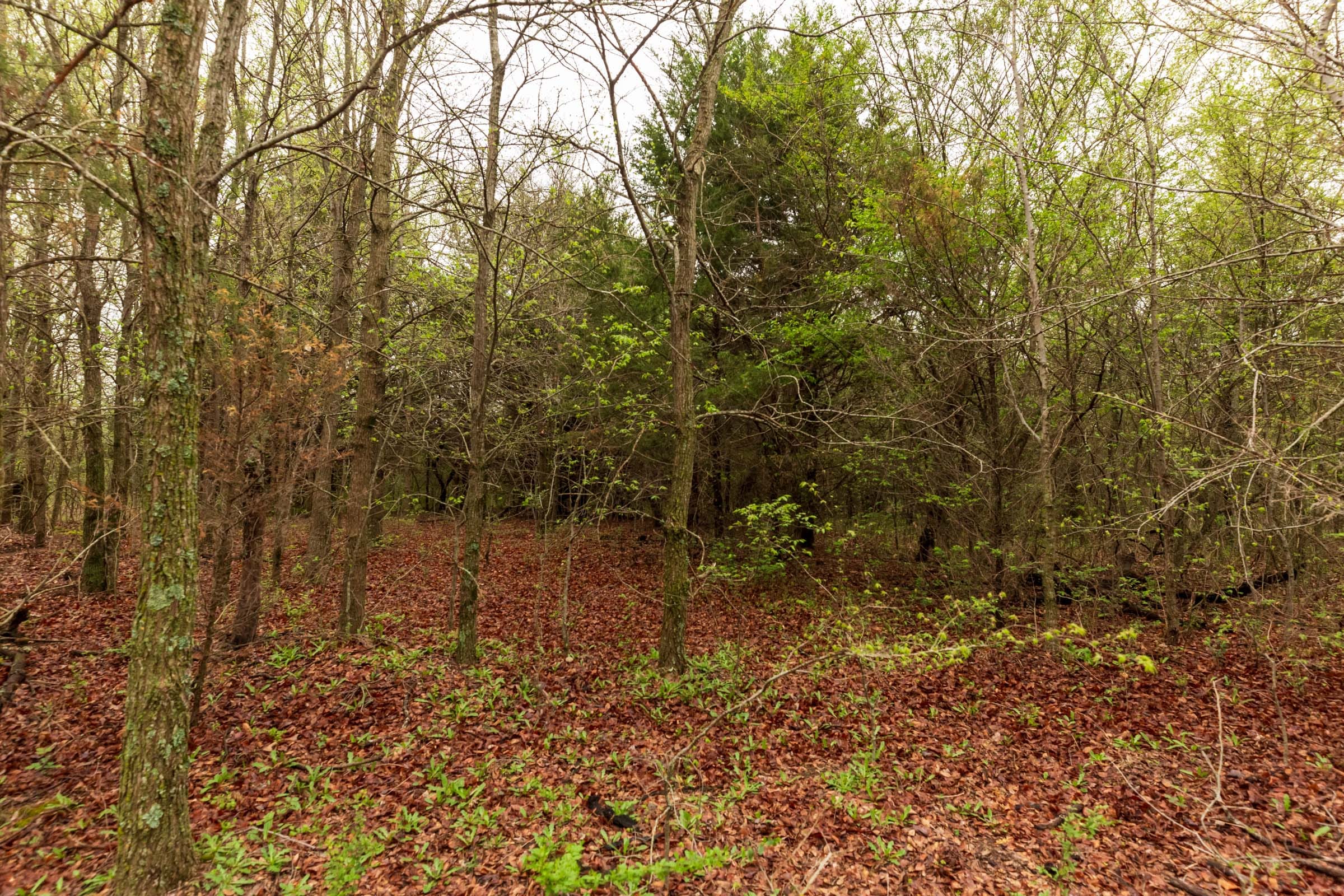 Moonrise Meadows Tract 7 photo 7