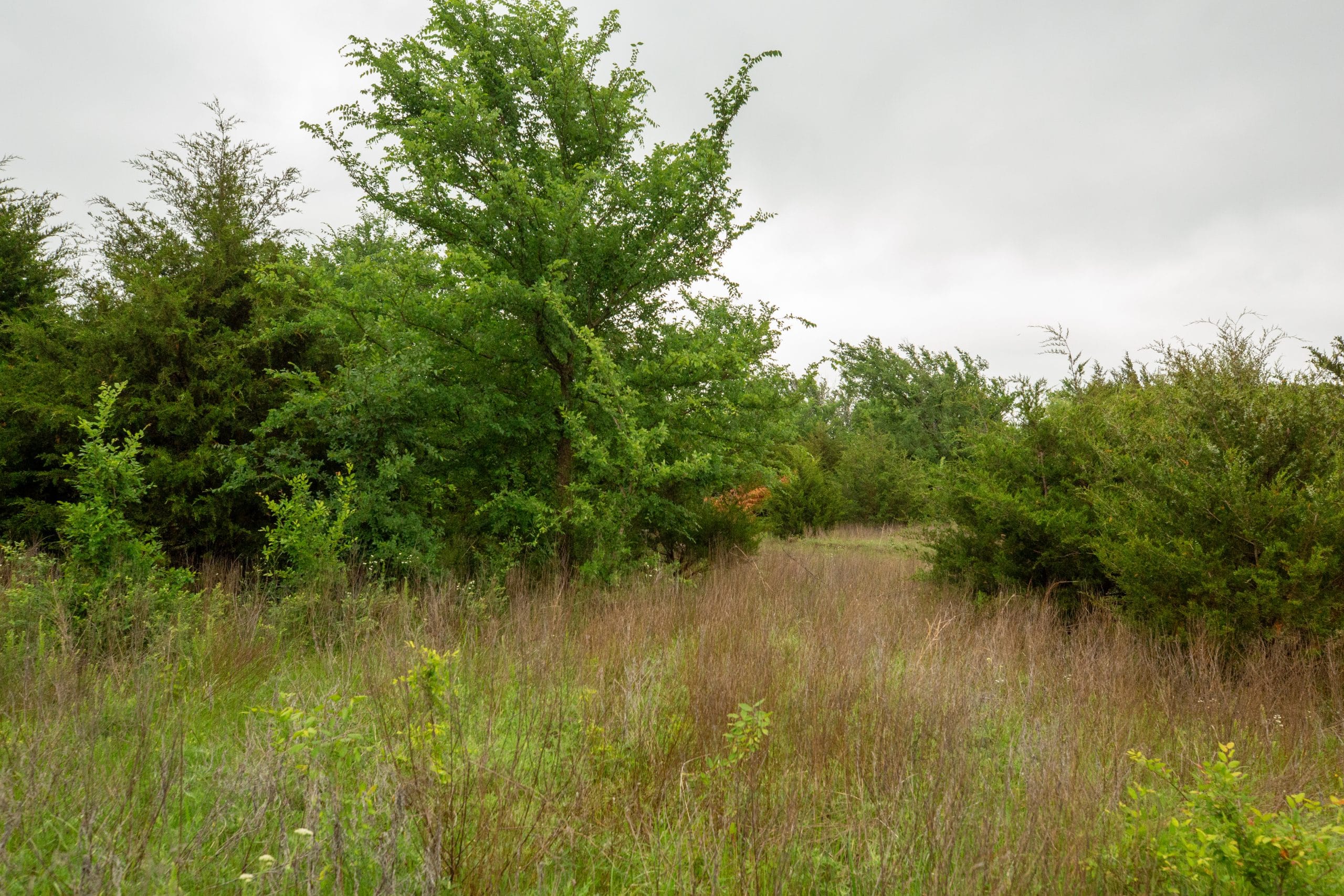 Moonrise Meadows Tract 7 photo 11