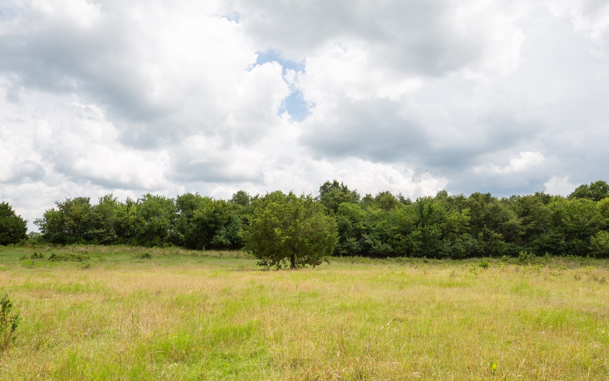 Paradise Valley Tract 15 photo 2