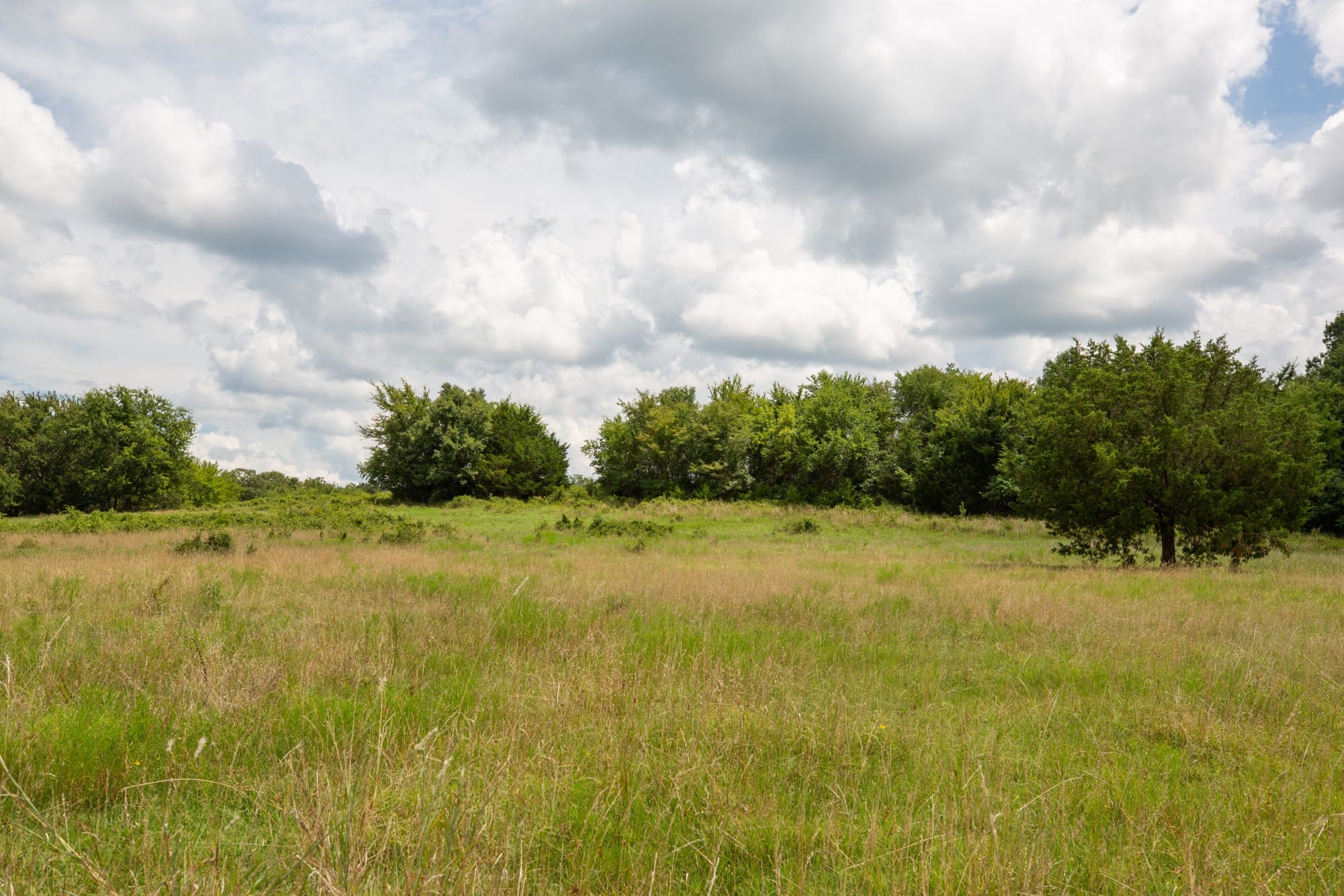 Paradise Valley Tract 15 photo 4