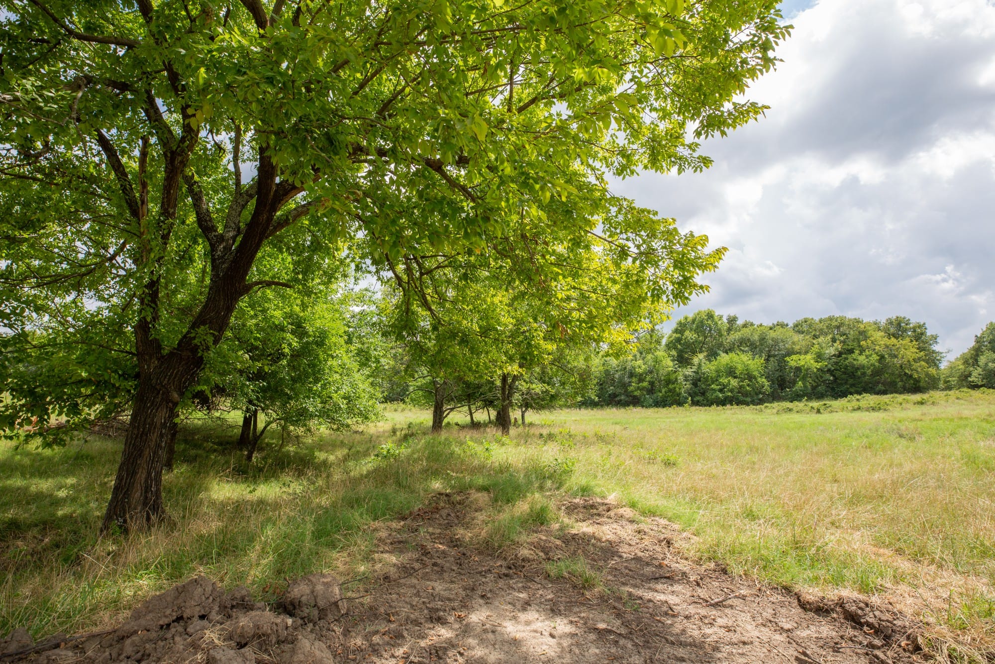 Paradise Valley Tract 15 photo 7
