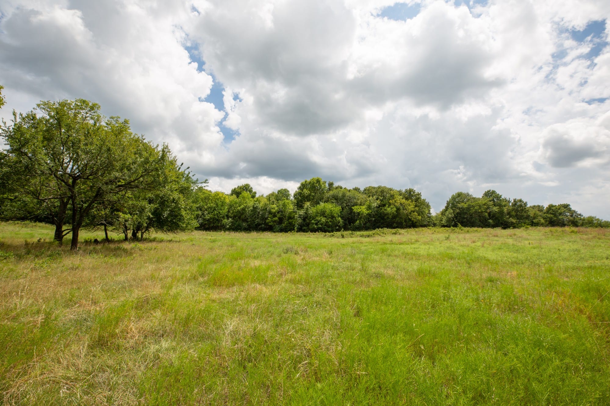 Paradise Valley Tract 15 photo 6