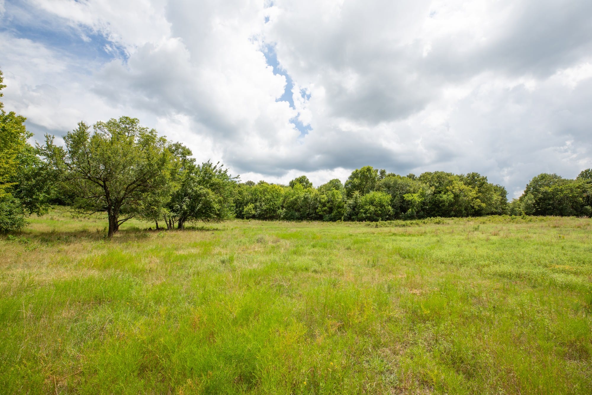 Paradise Valley Tract 15 photo 8