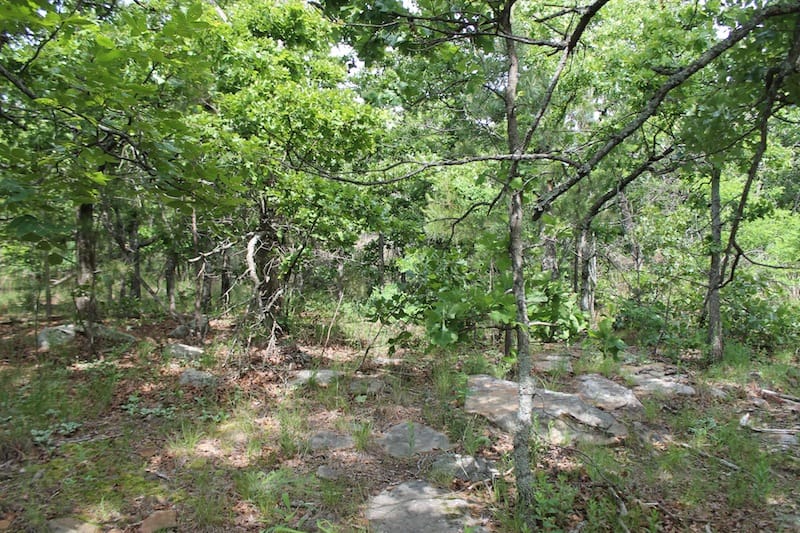 Indian Ridge – Phase II Tract 43 photo 7