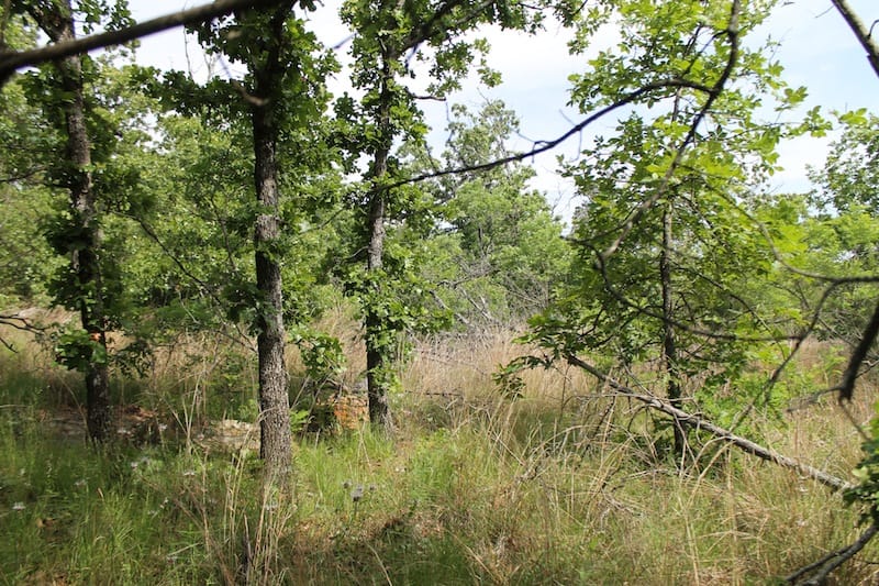 Indian Ridge – Phase II Tract 43 photo 9