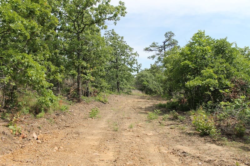 Indian Ridge – Phase II Tract 43 photo 1