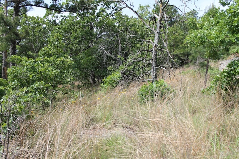 Indian Ridge – Phase II Tract 43 photo 14
