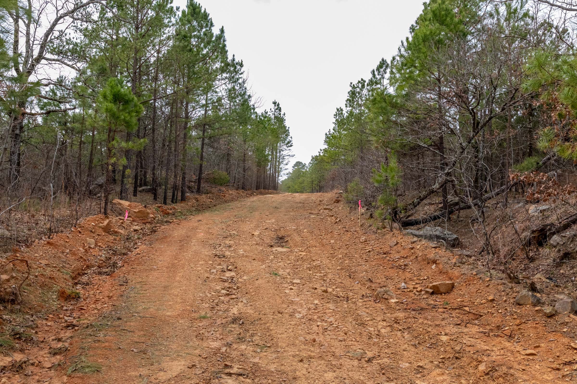 Stone Bridge Phase III Tract 172 photo 7