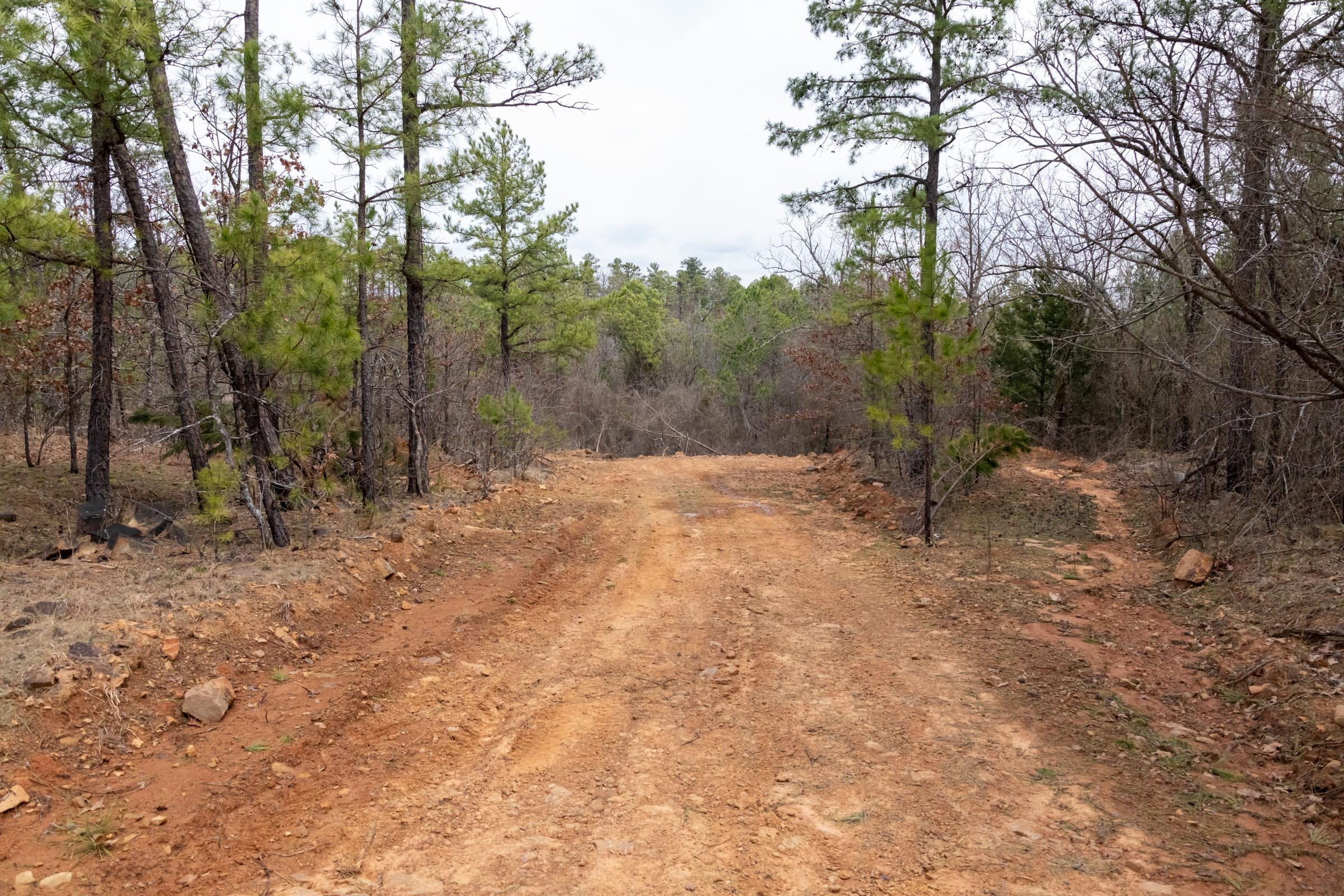 Stone Bridge Phase III Tract 172 photo 2