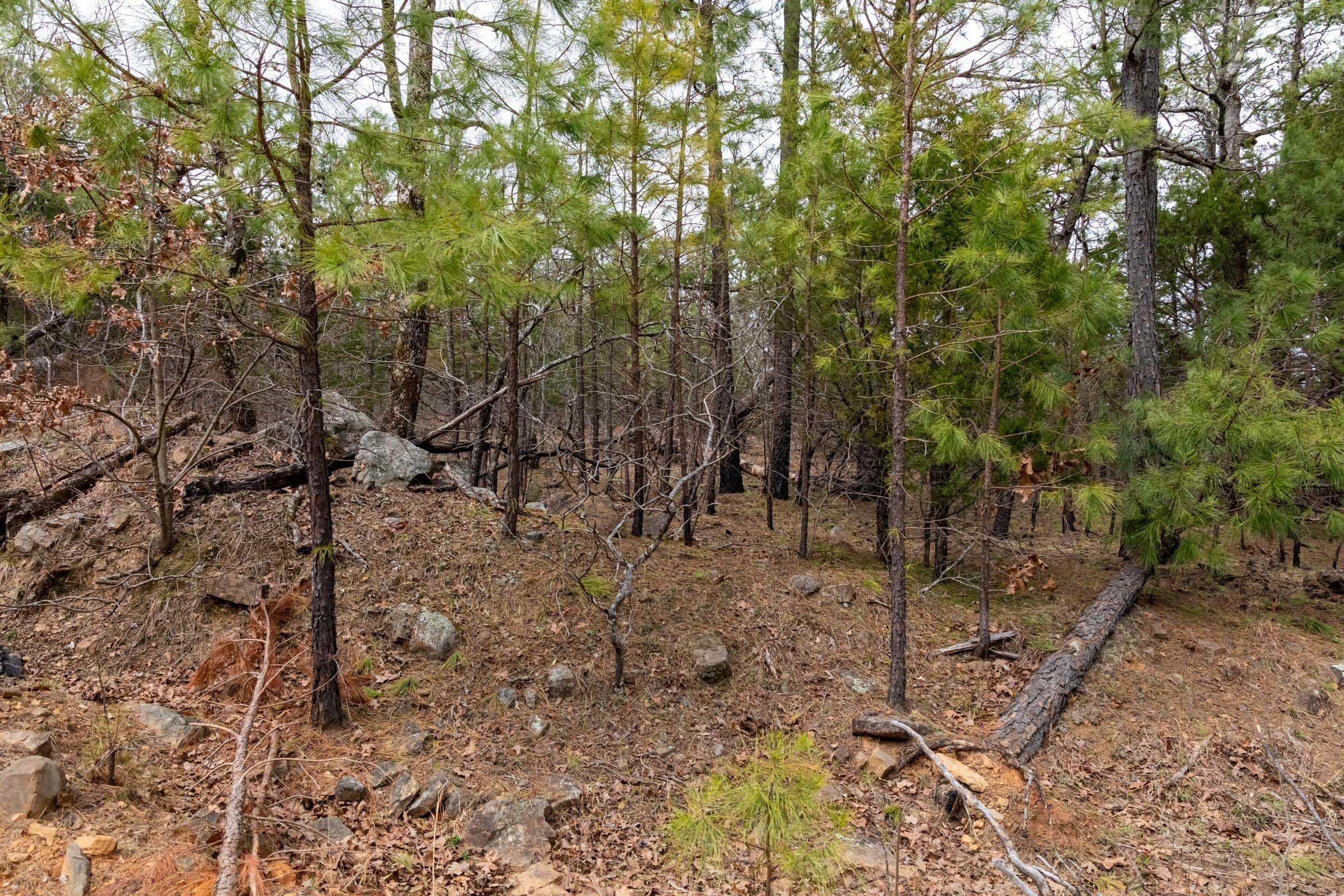 Stone Bridge Phase III Tract 172 photo 4