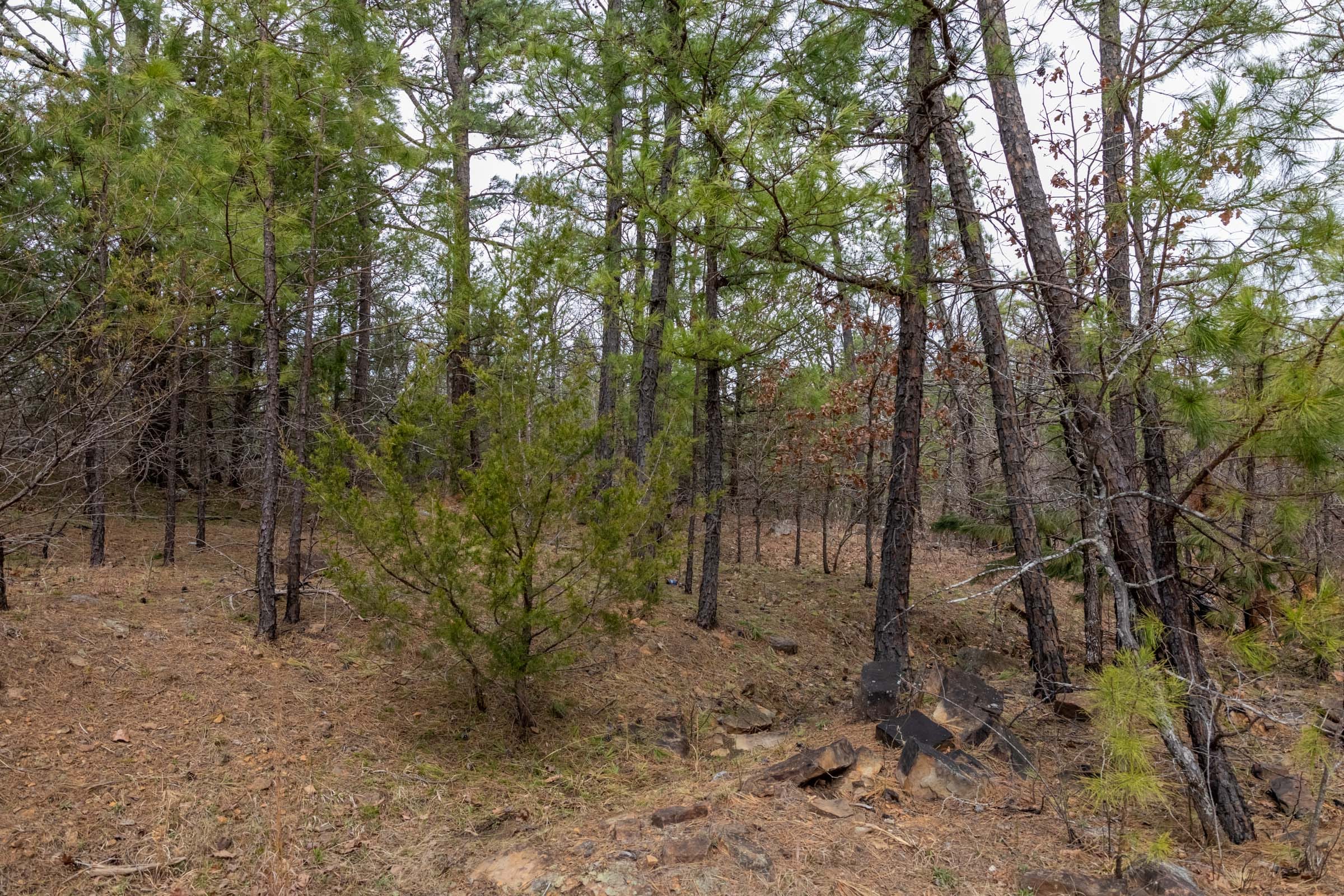 Stone Bridge Phase III Tract 172 photo 5