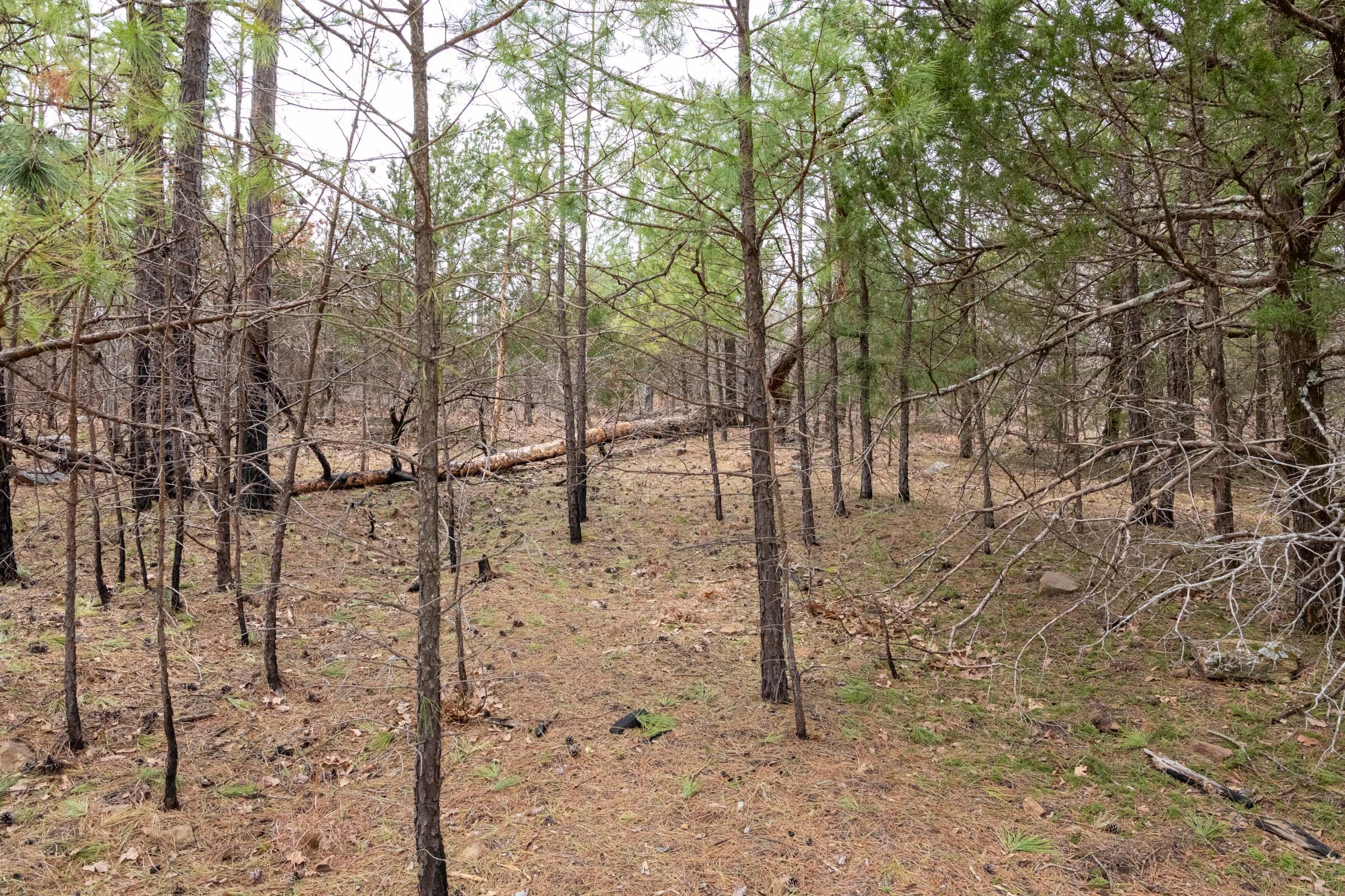 Stone Bridge Phase III Tract 172 photo 6