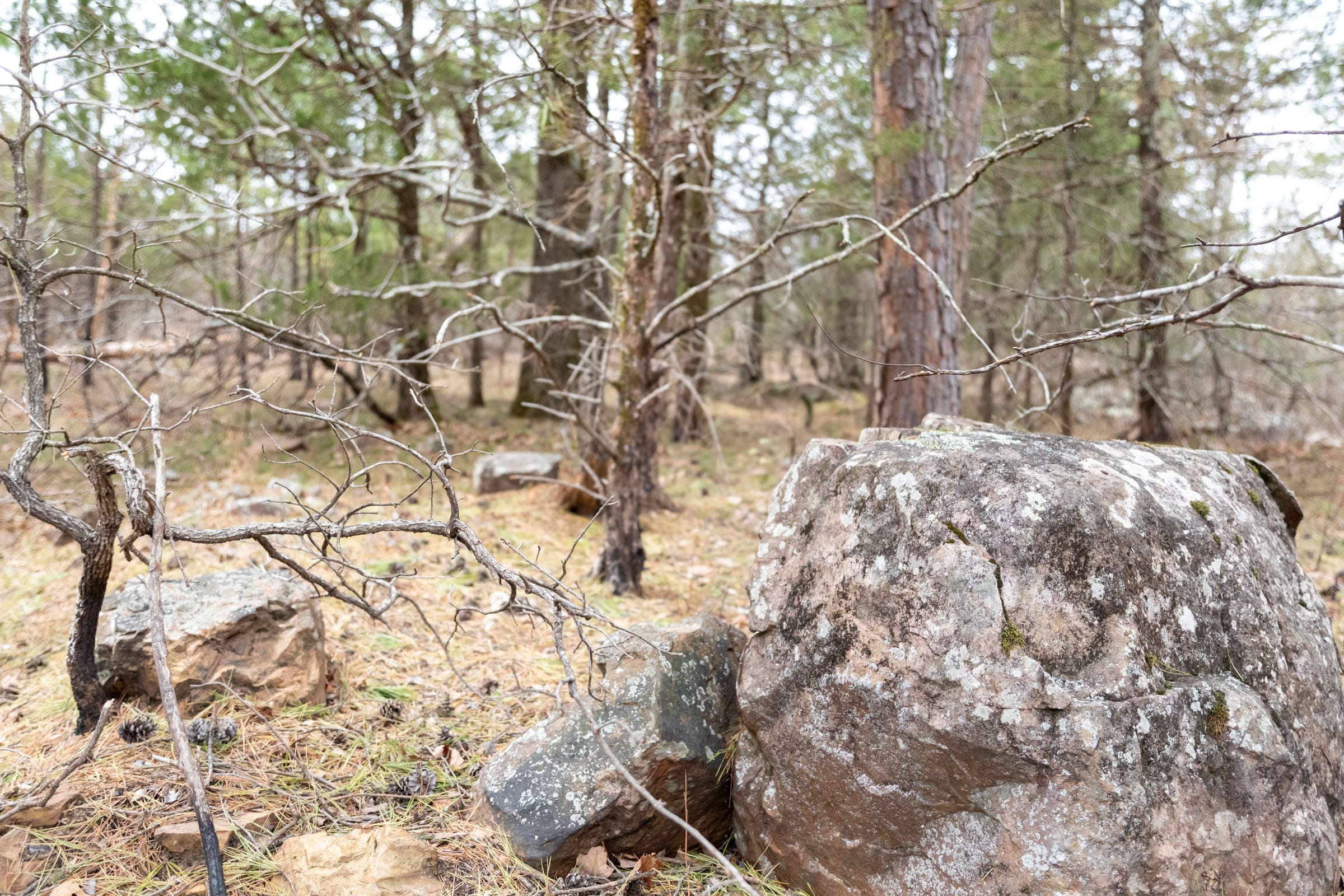 Stone Bridge Phase III Tract 172 photo 8