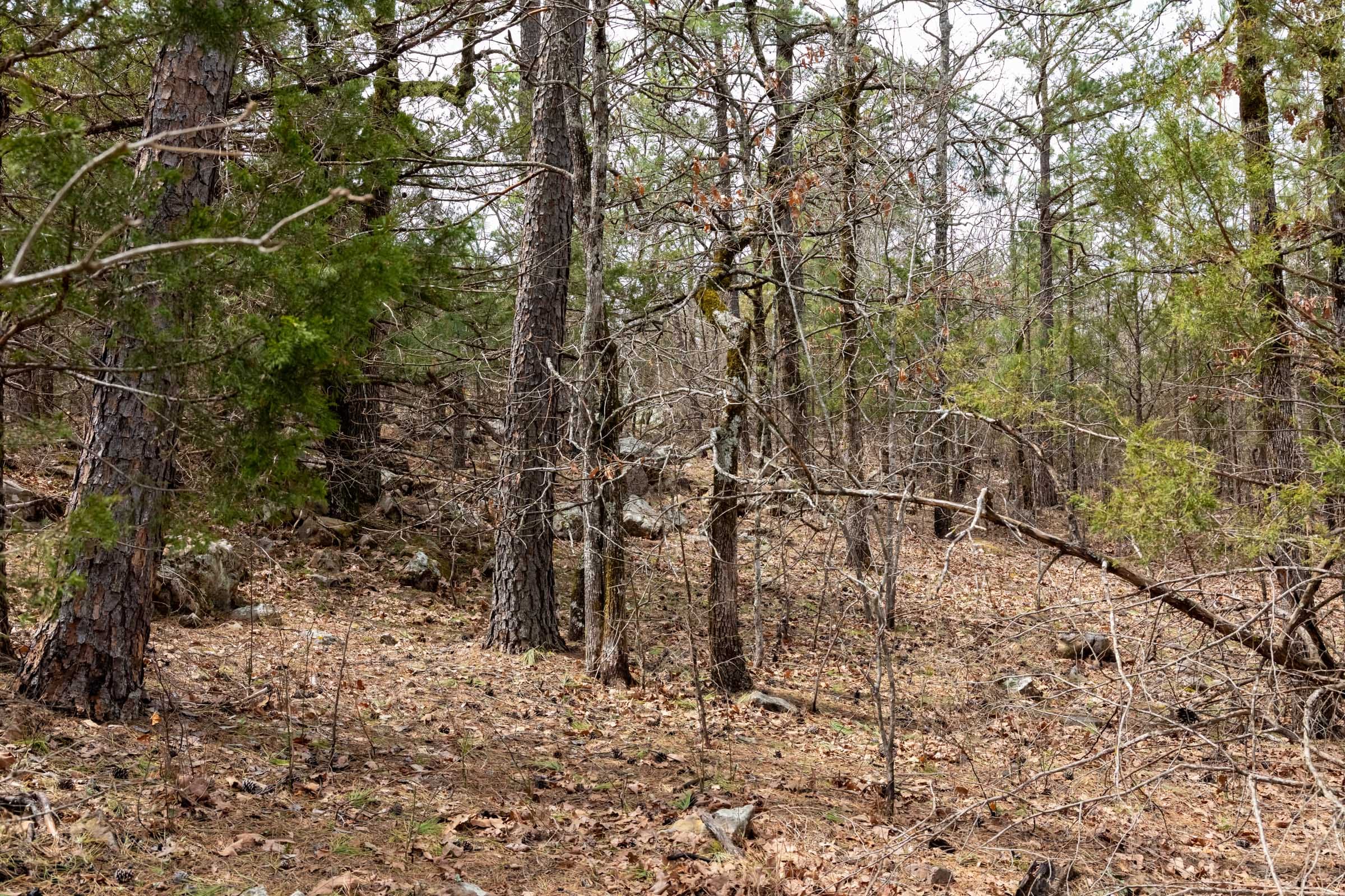 Stone Bridge Phase III Tract 172 photo 9
