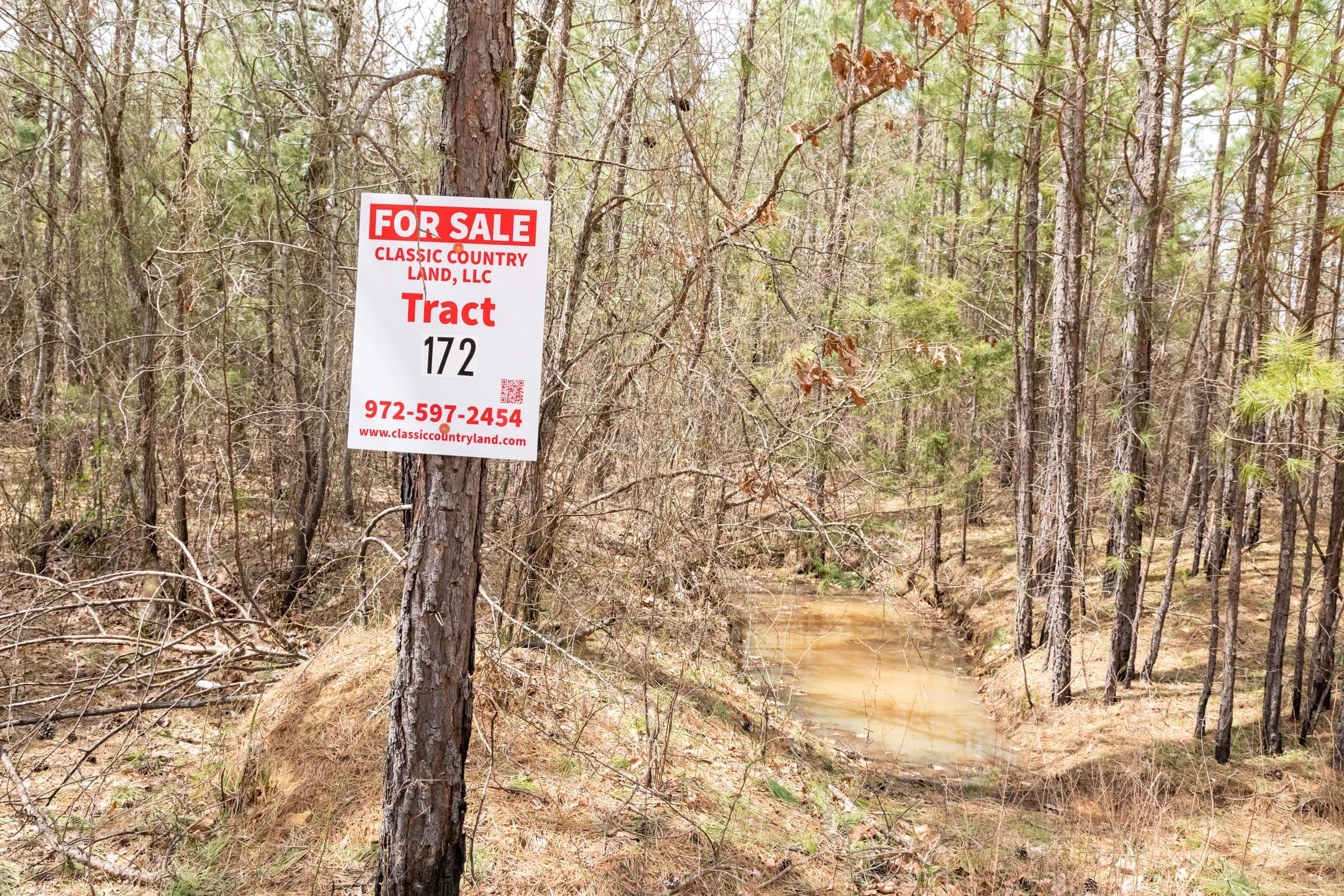 Stone Bridge Phase III Tract 172 photo 1