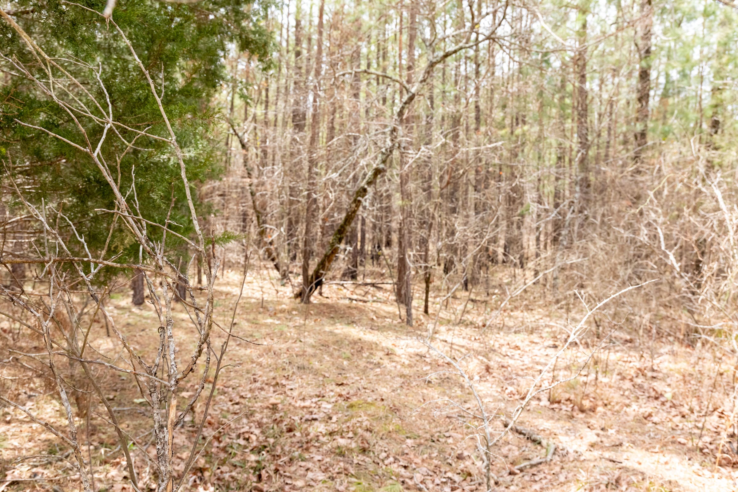 Stone Bridge Phase III Tract 172 photo 13