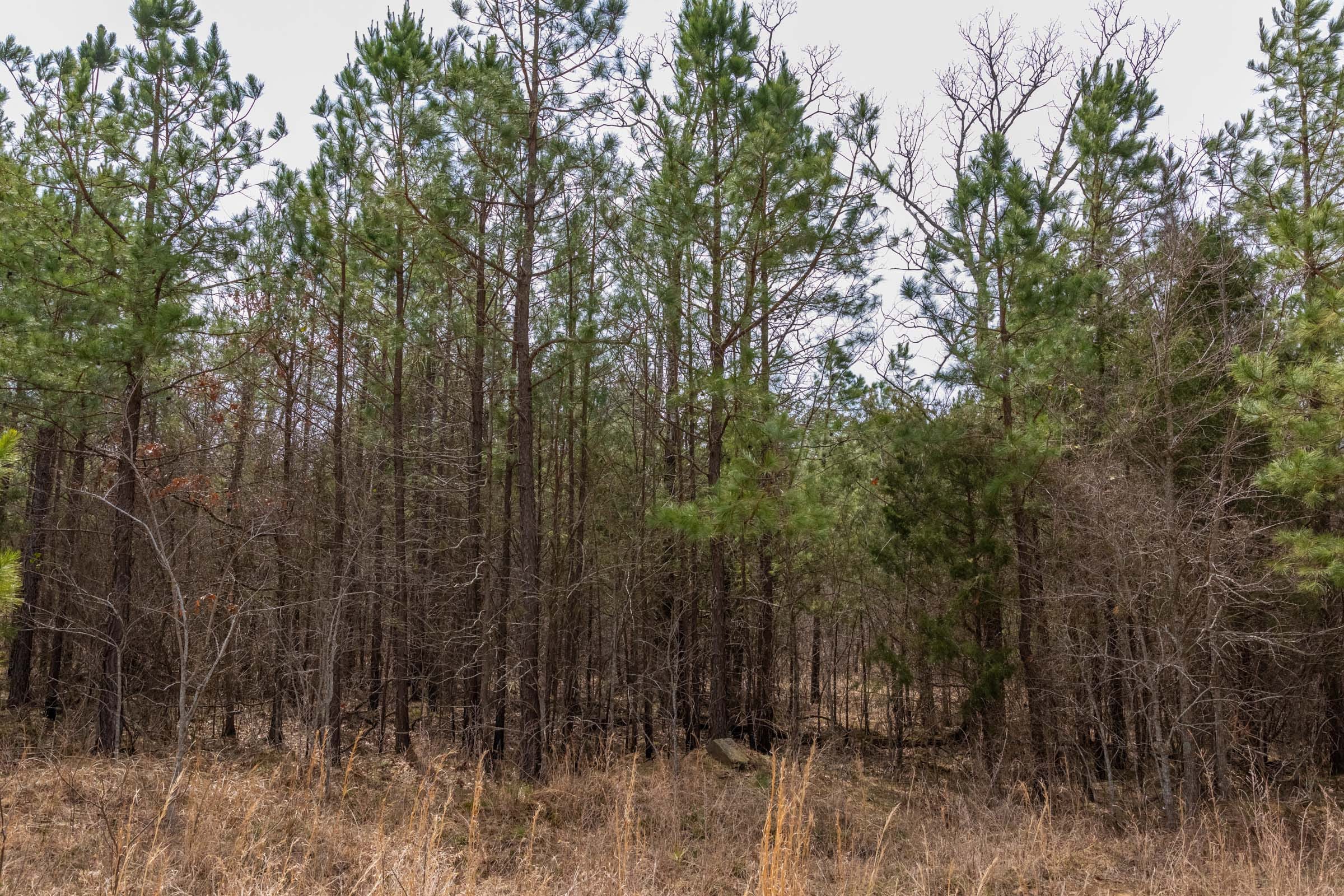 Stone Bridge Phase III Tract 172 photo 14