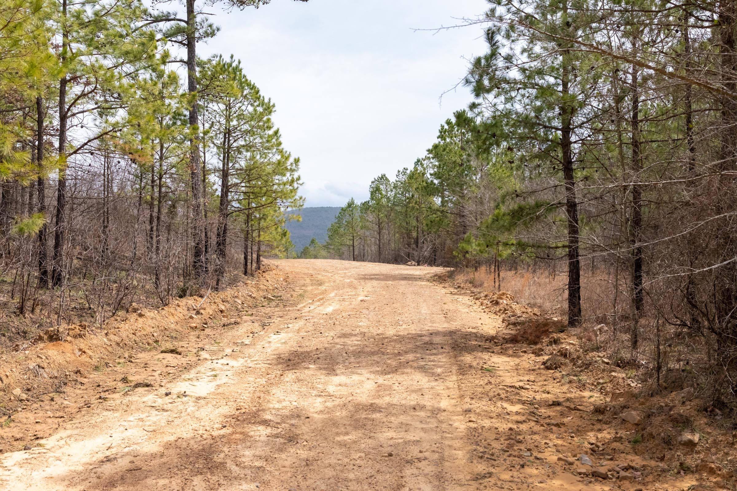 Stone Bridge Phase III Tract 172 photo 16