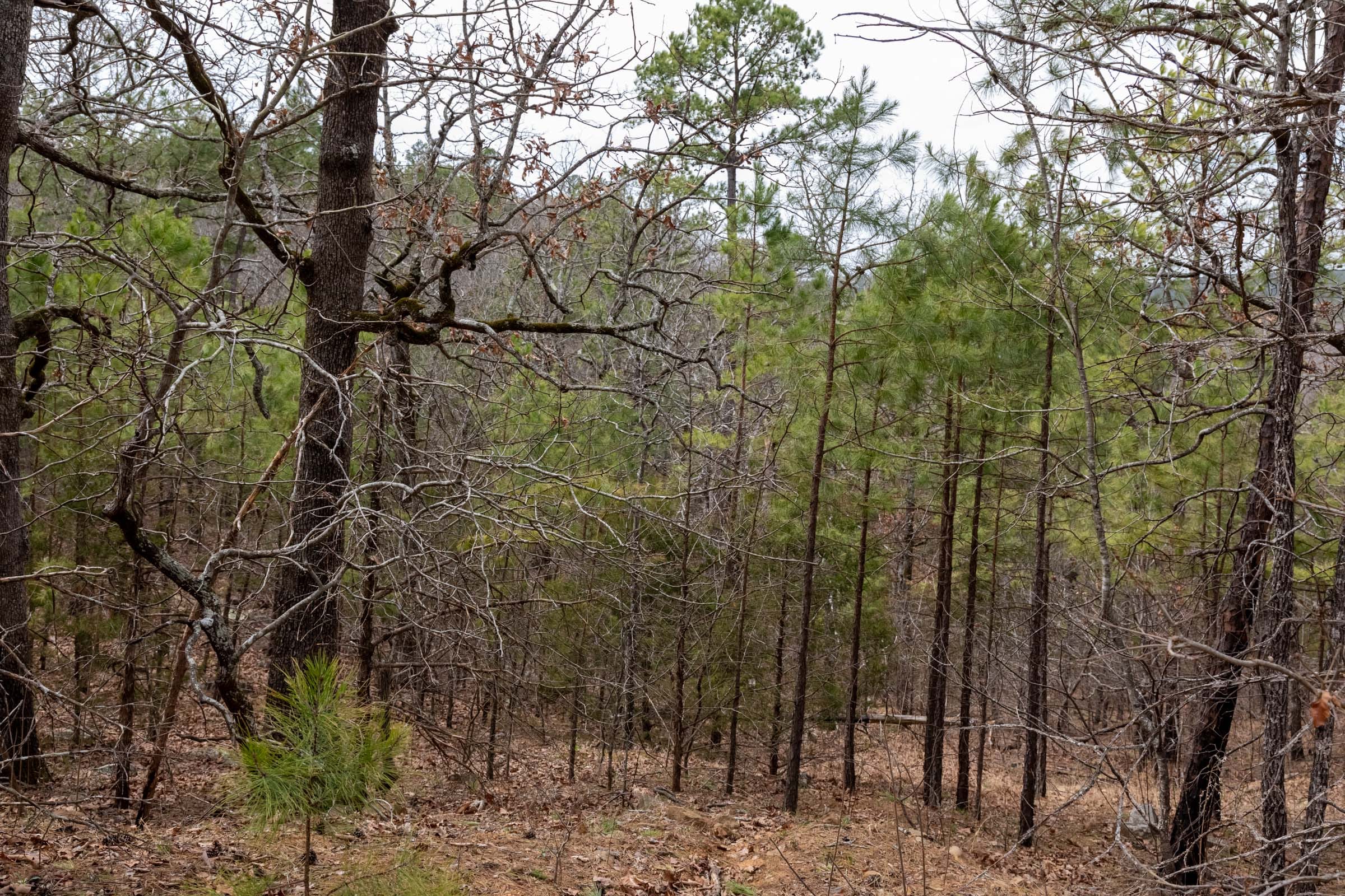 Stone Bridge Phase III Tract 172 photo 17