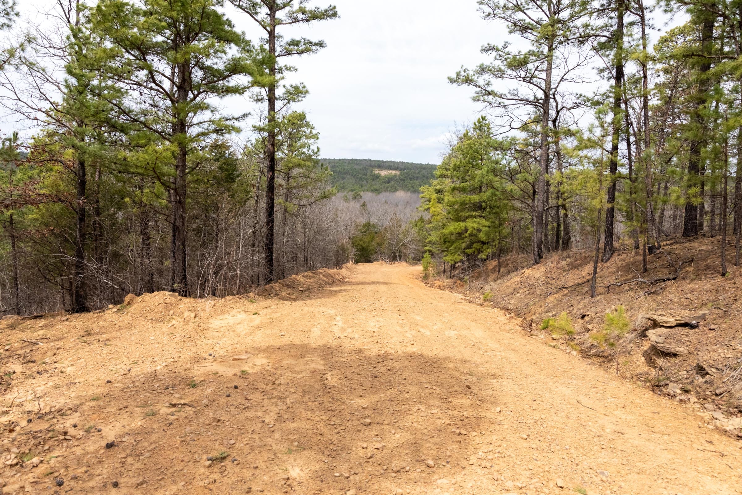 Stone Bridge Phase III Tract 172 photo 18
