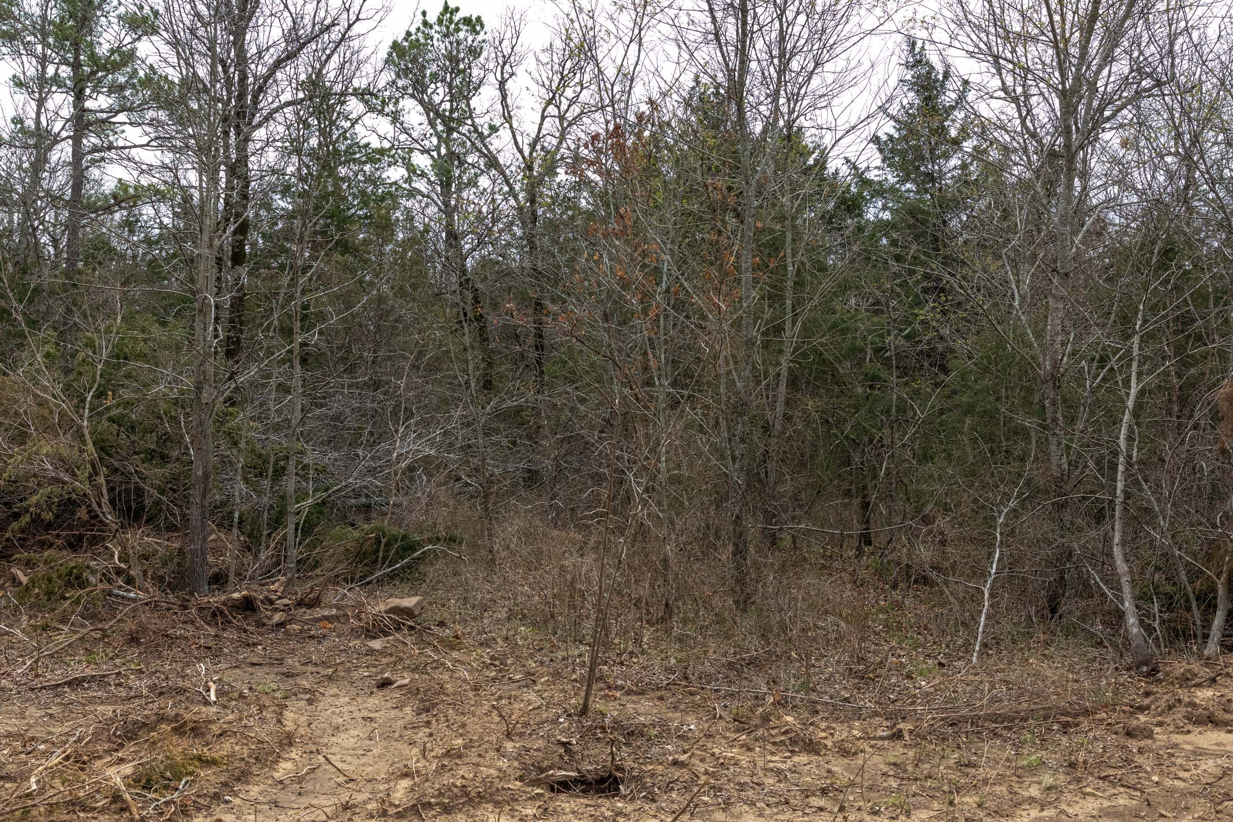 Stone Bridge Phase III Tract 172 photo 22