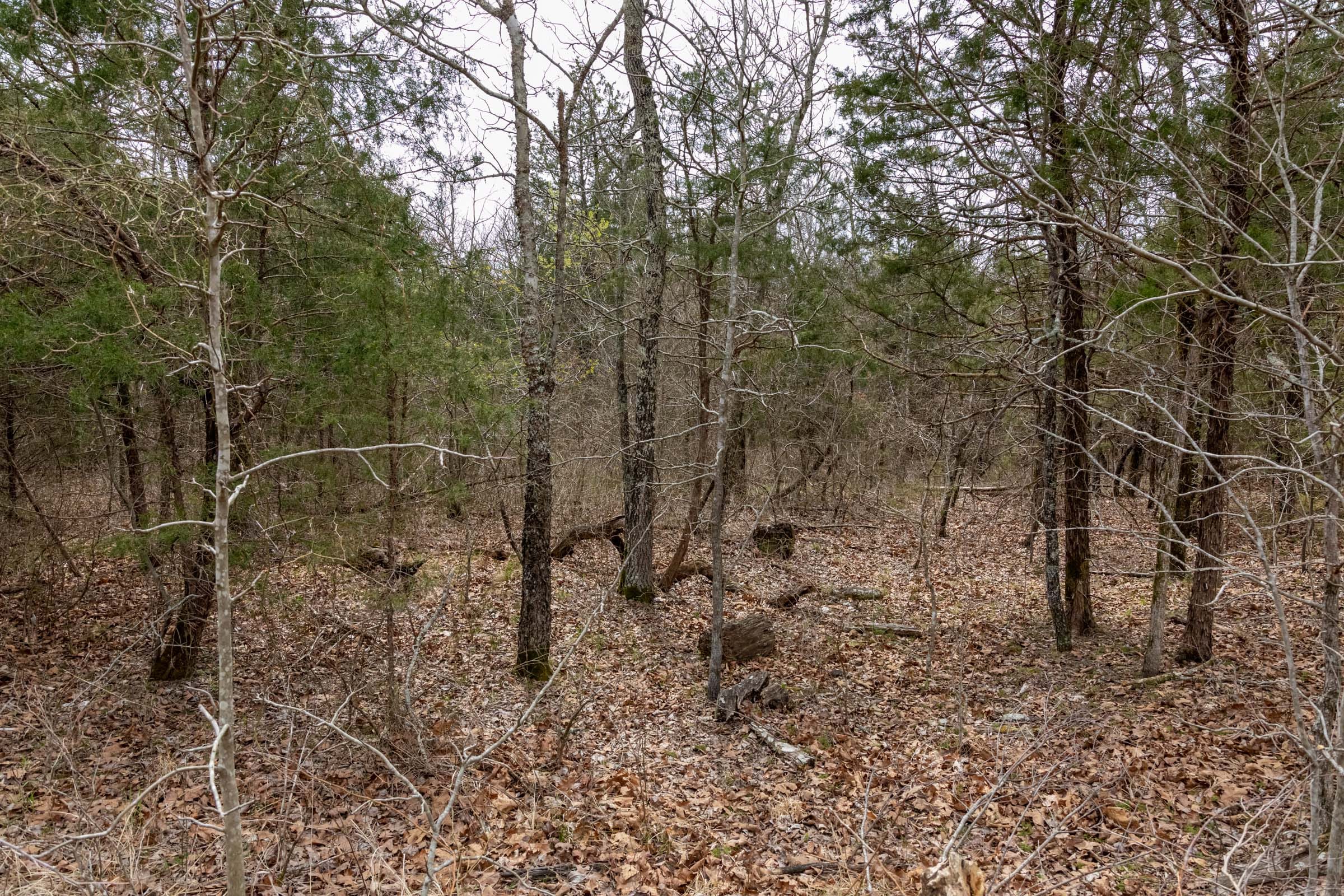 Stone Bridge Phase III Tract 172 photo 24