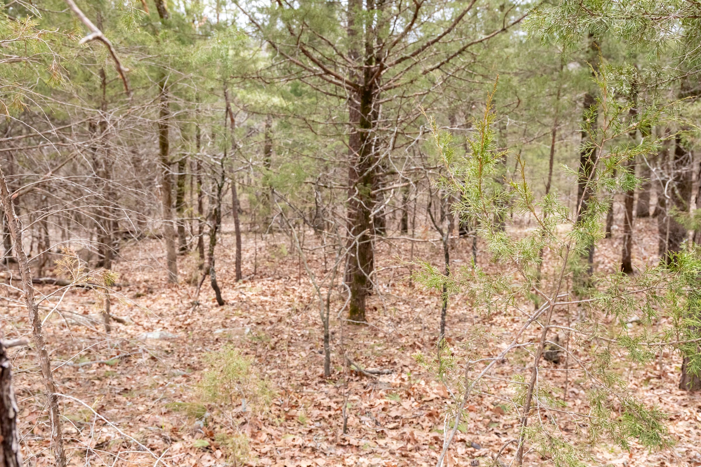 Stone Bridge Phase III Tract 172 photo 28