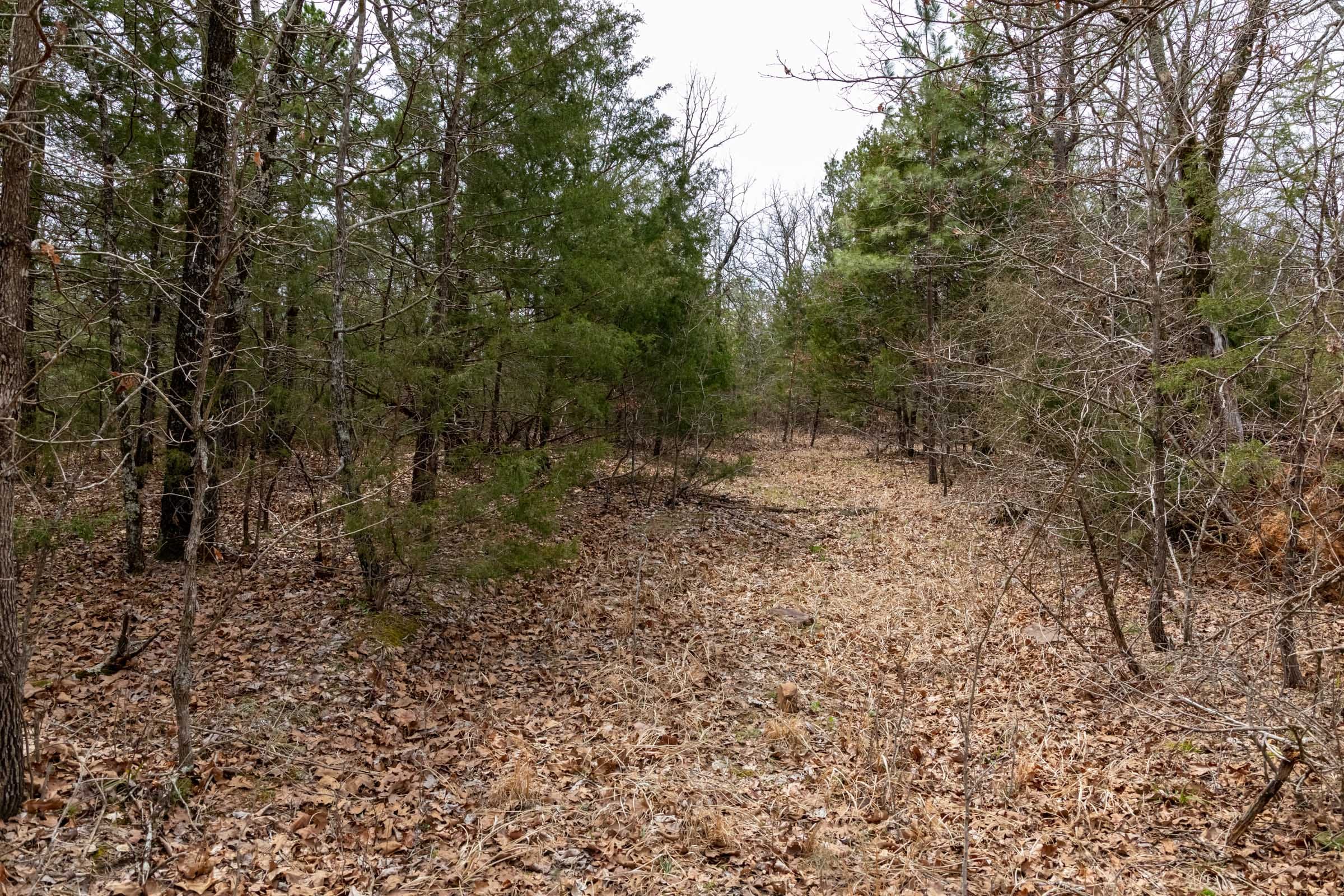 Stone Bridge Phase III Tract 172 photo 30