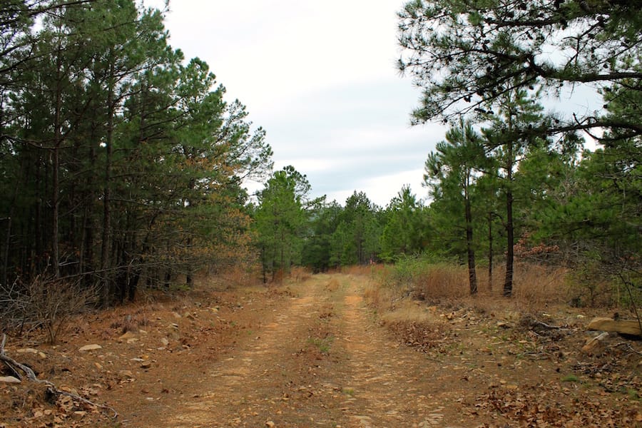 Trophy Ridge Phase III Tract 45 photo 1