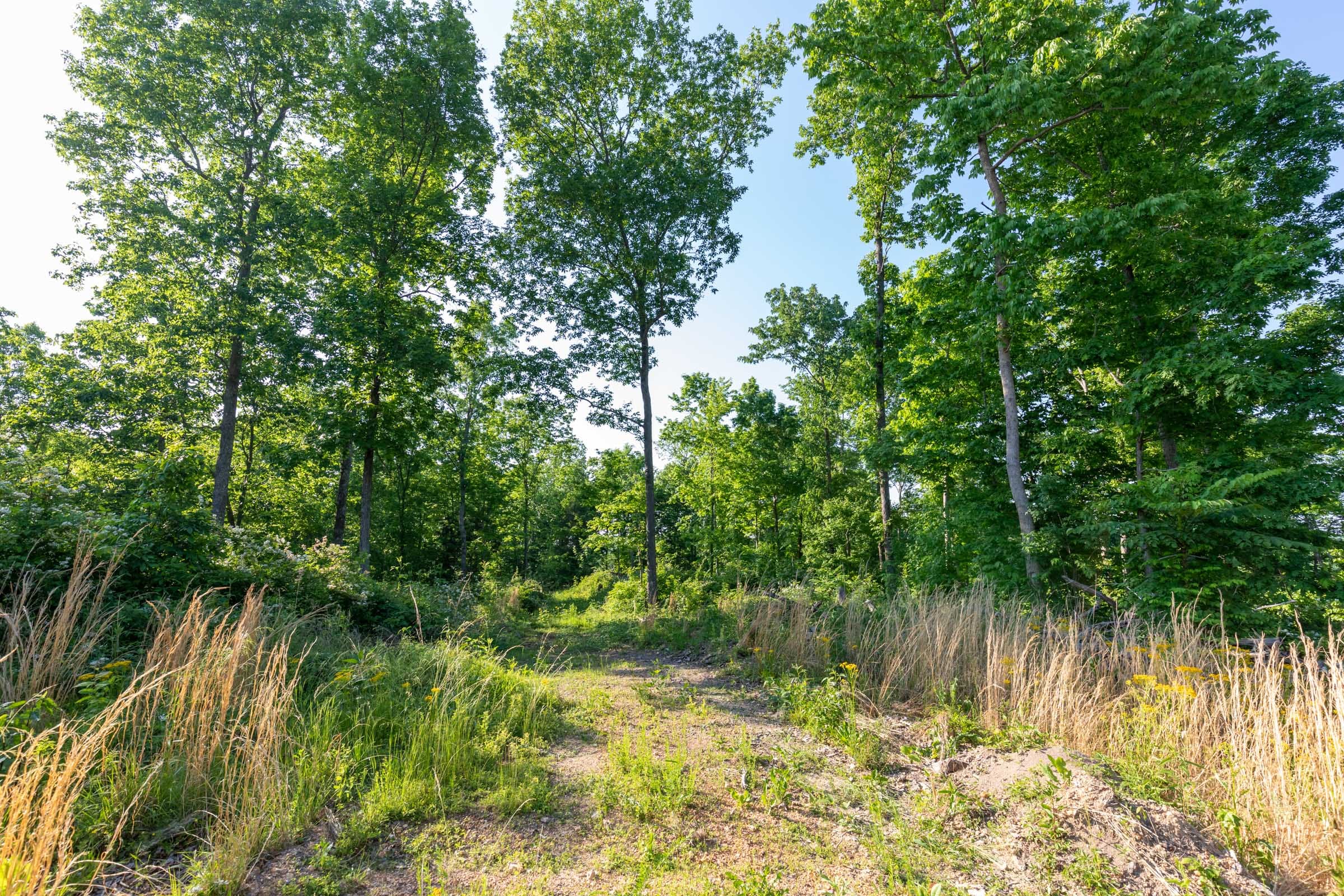 Cedar Creek Tract 52 photo 2