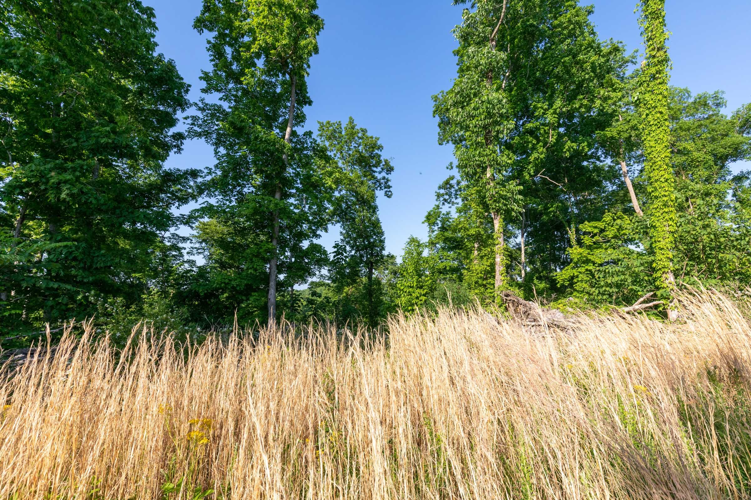 Cedar Creek Tract 52 photo 3