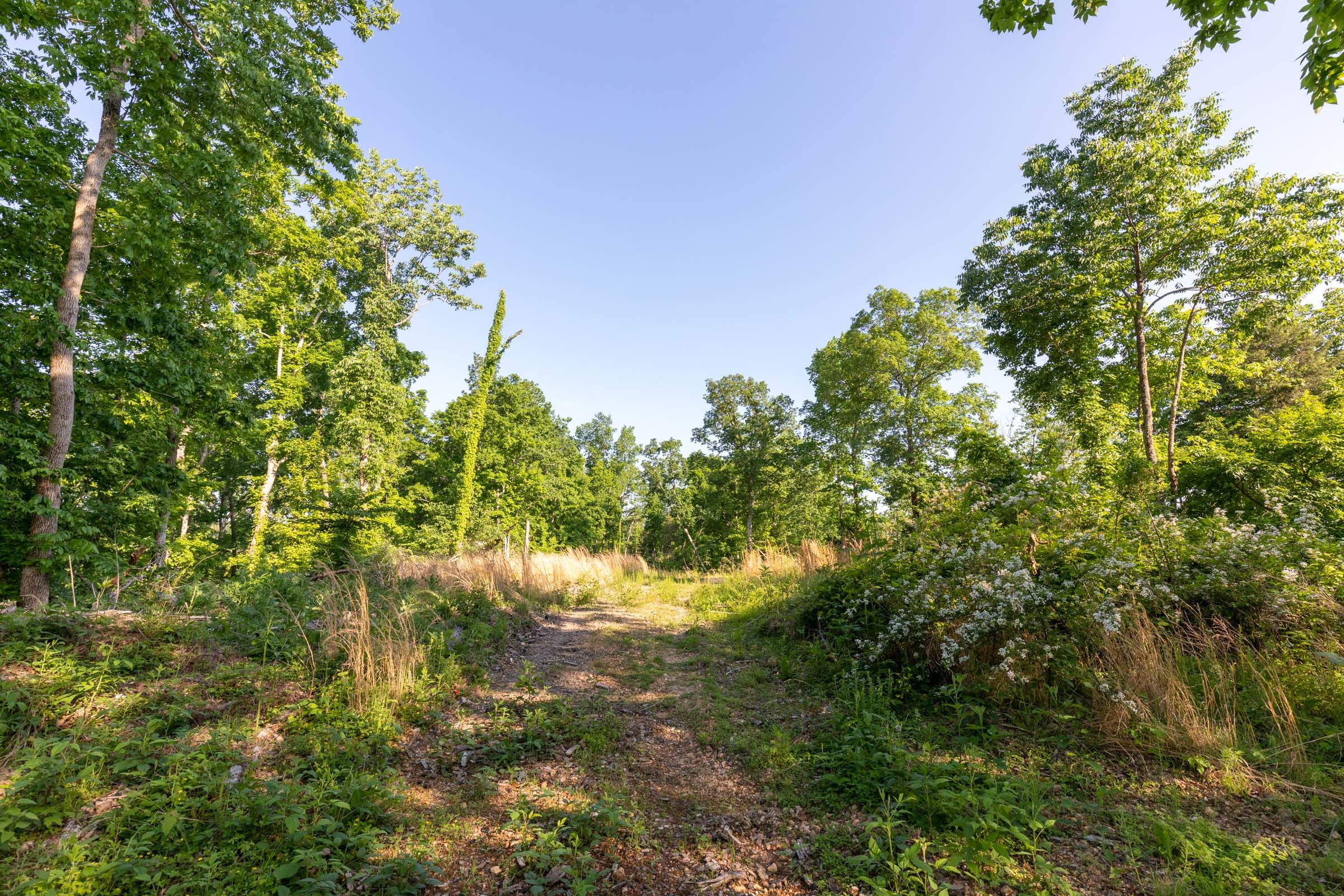Cedar Creek Tract 52 photo 1