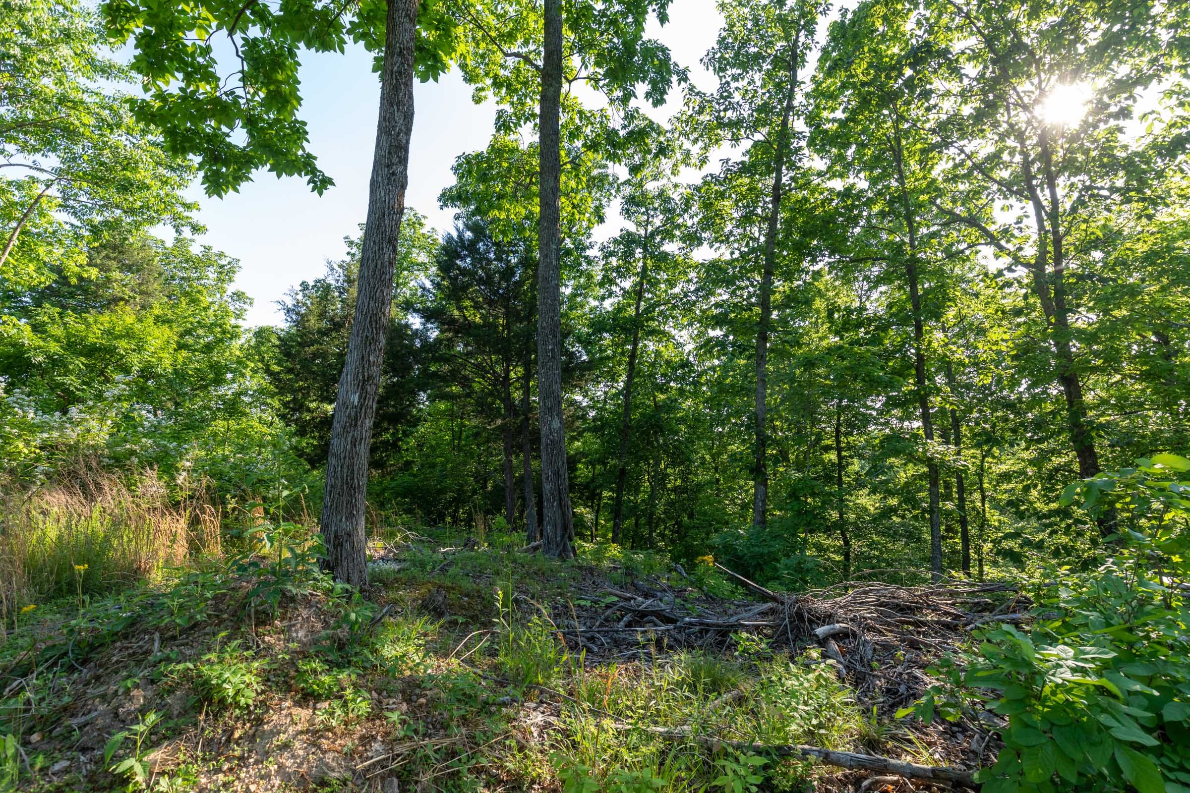Cedar Creek Tract 52 photo 6