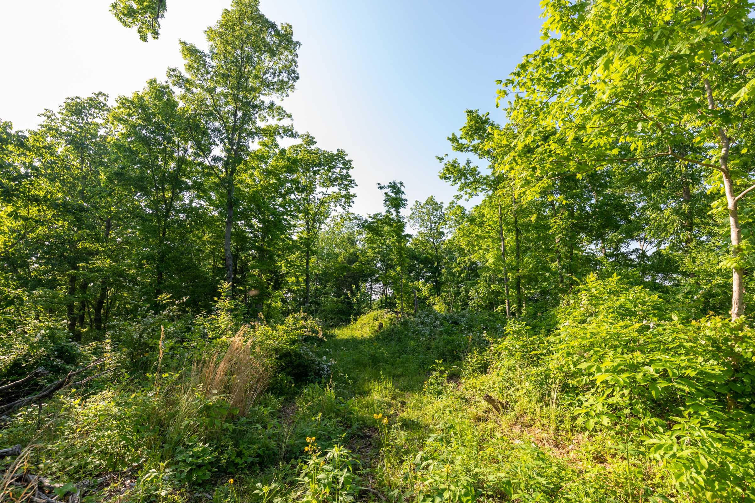 Cedar Creek Tract 52 photo 7