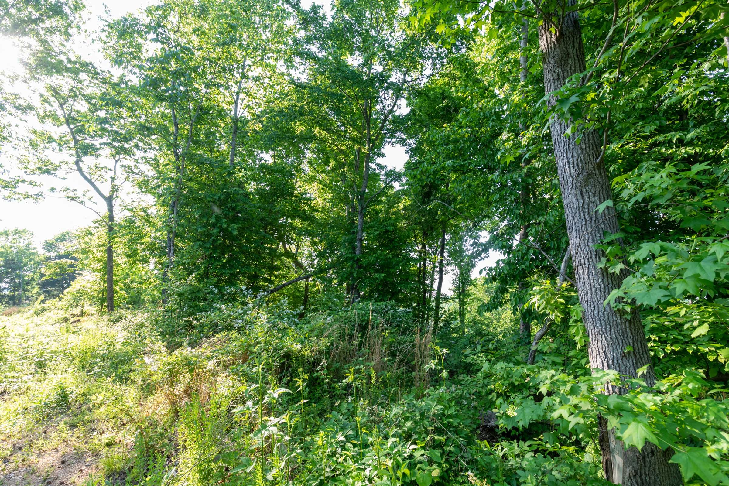 Cedar Creek Tract 52 photo 11