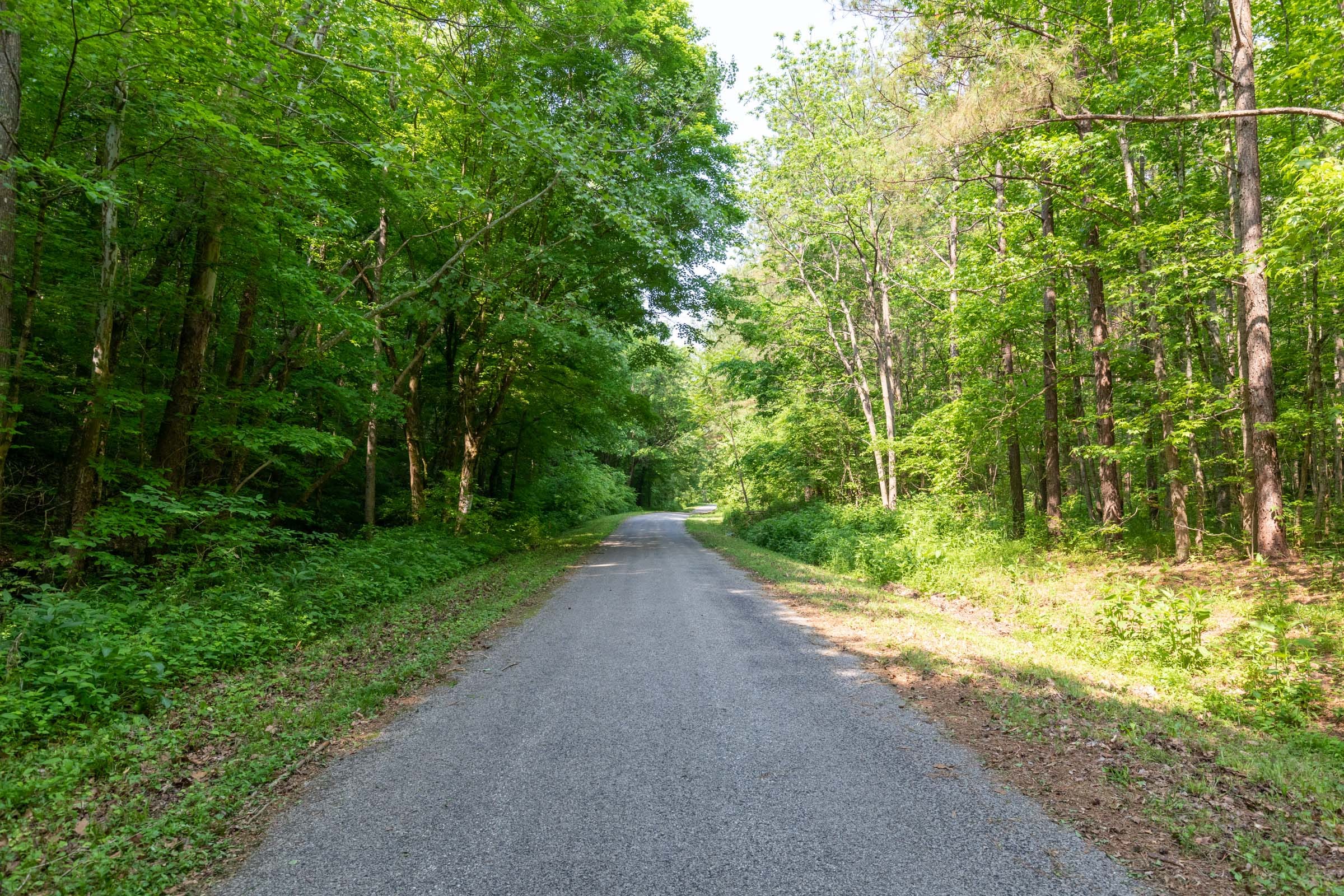 Cedar Creek Tract 52 photo 8