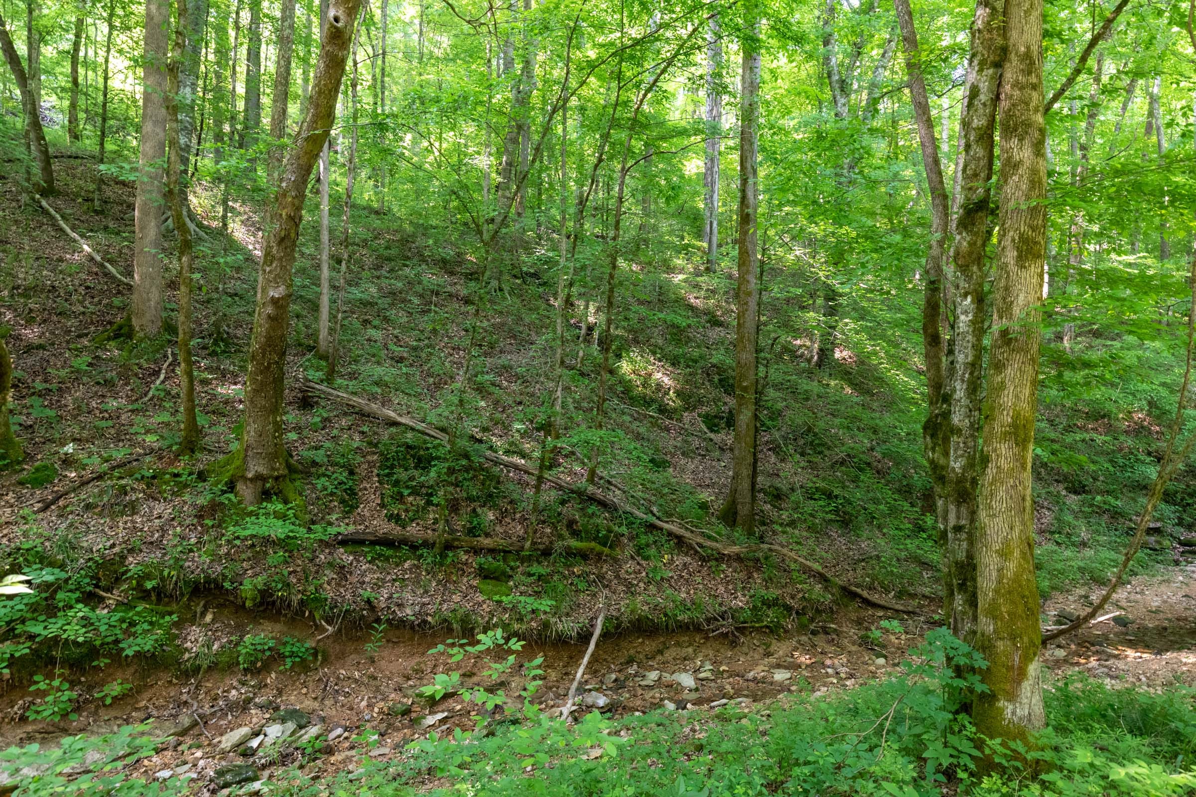Cedar Creek Tract 52 photo 15